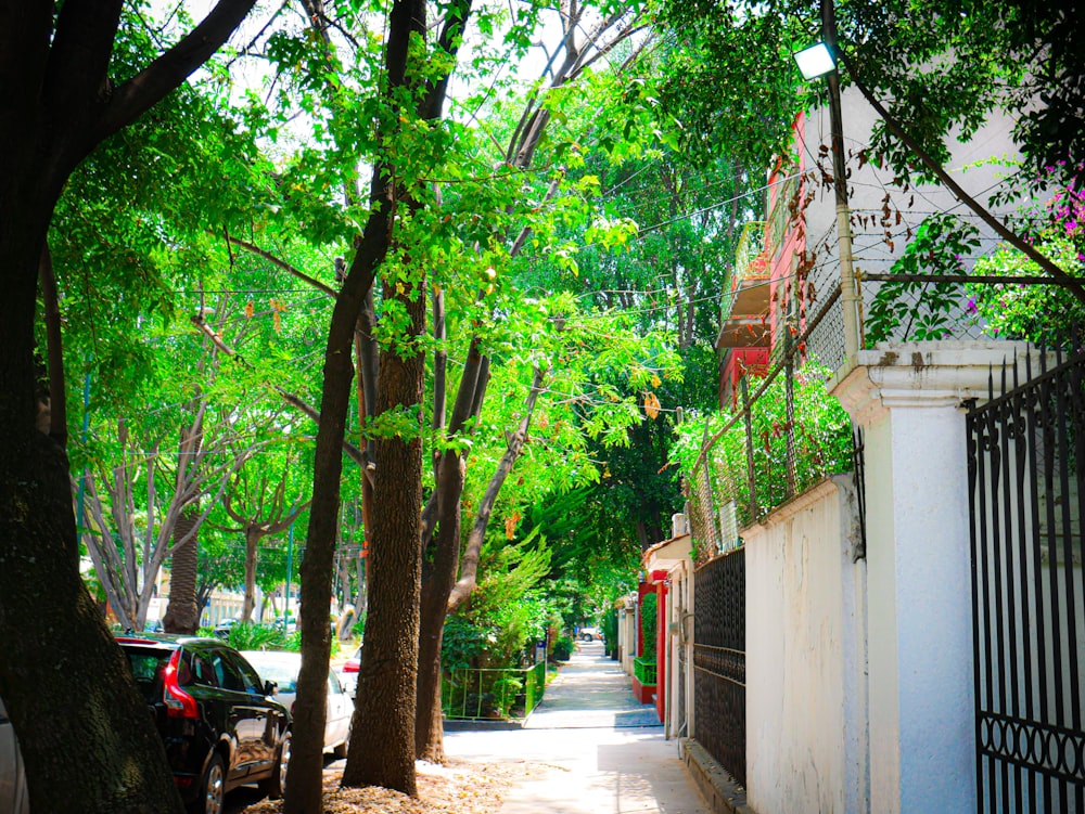 a tree lined street with cars parked on the side of it