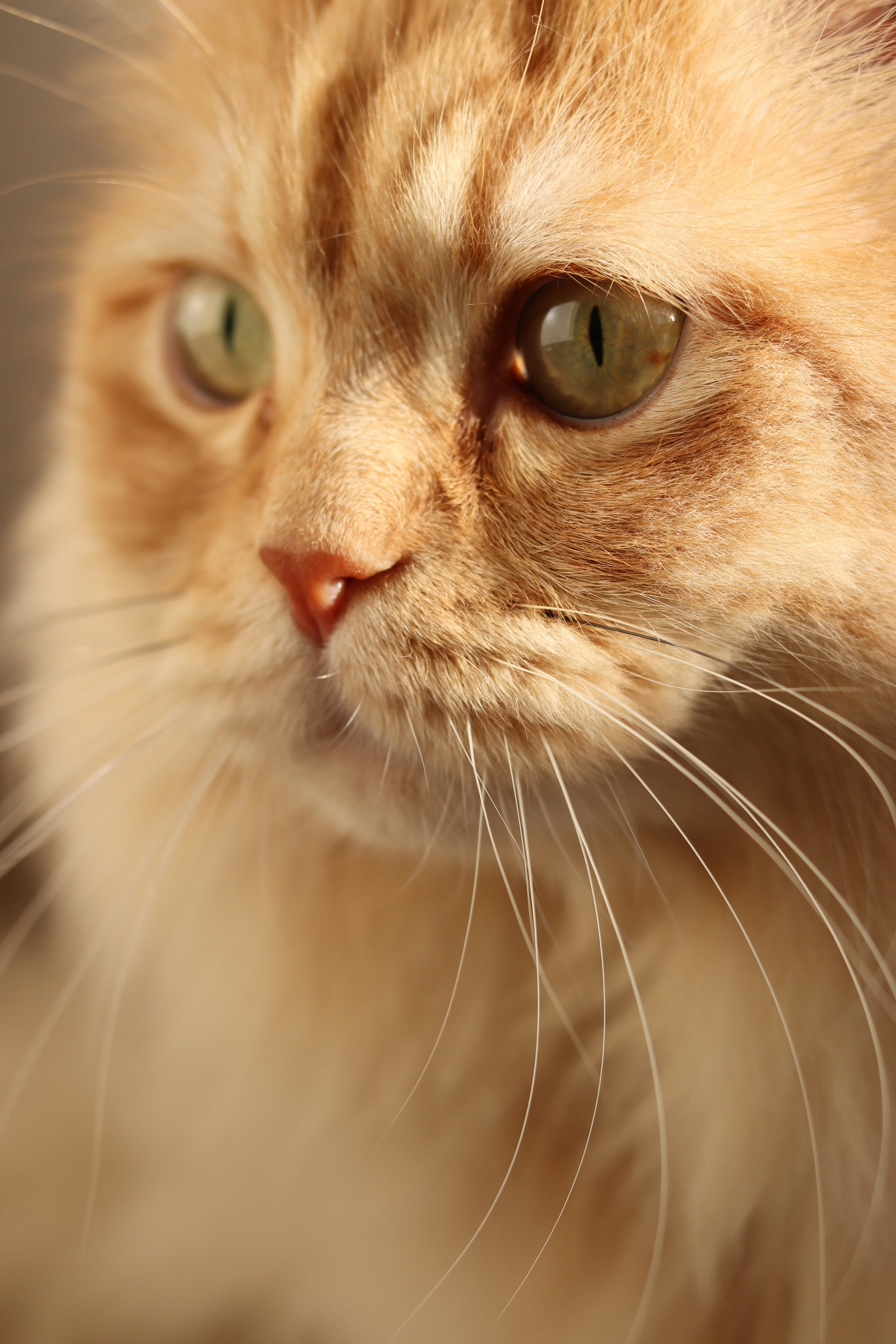 Photo by omar_alrshaidat