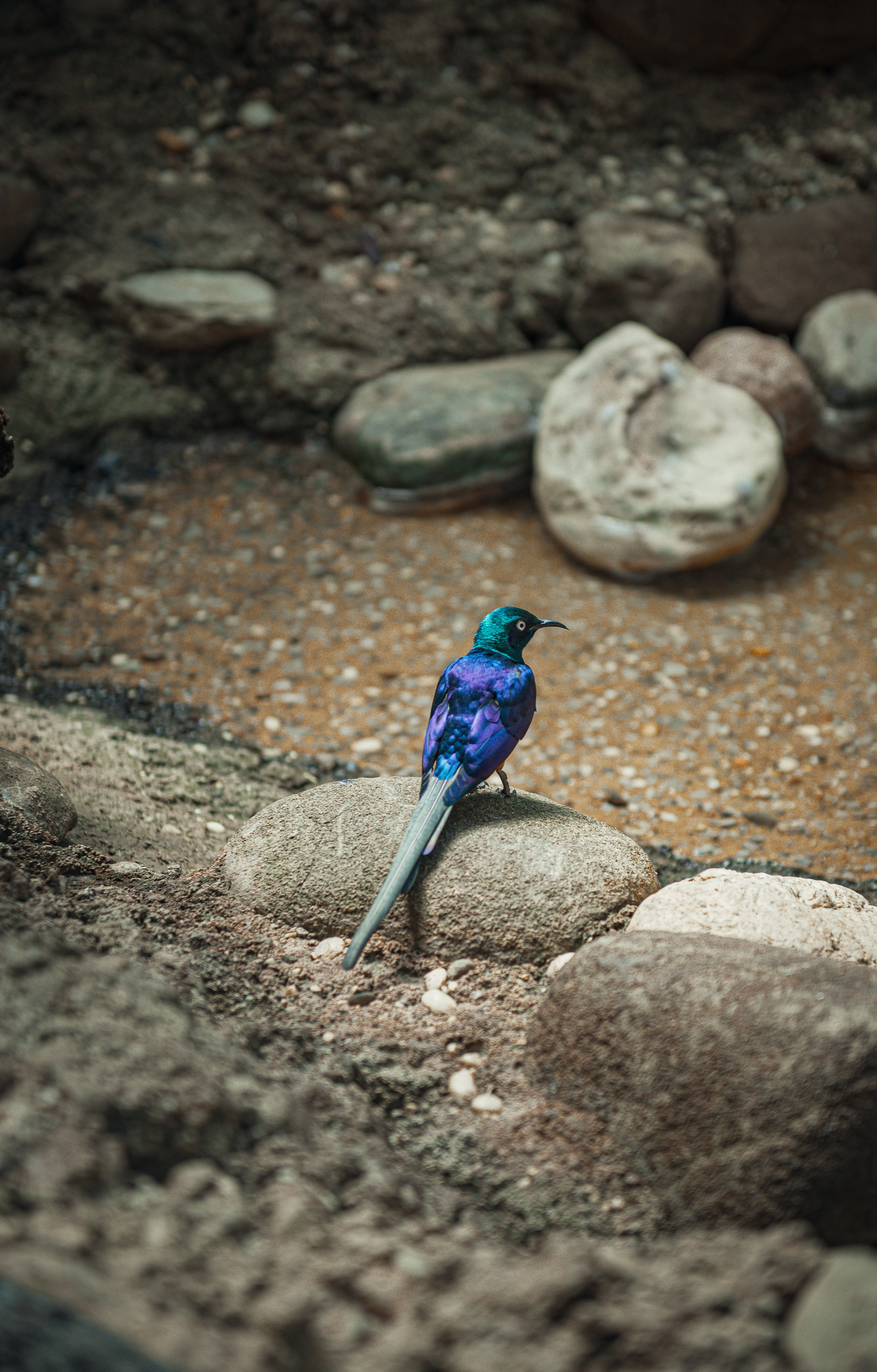 Photo by sadiecoulter