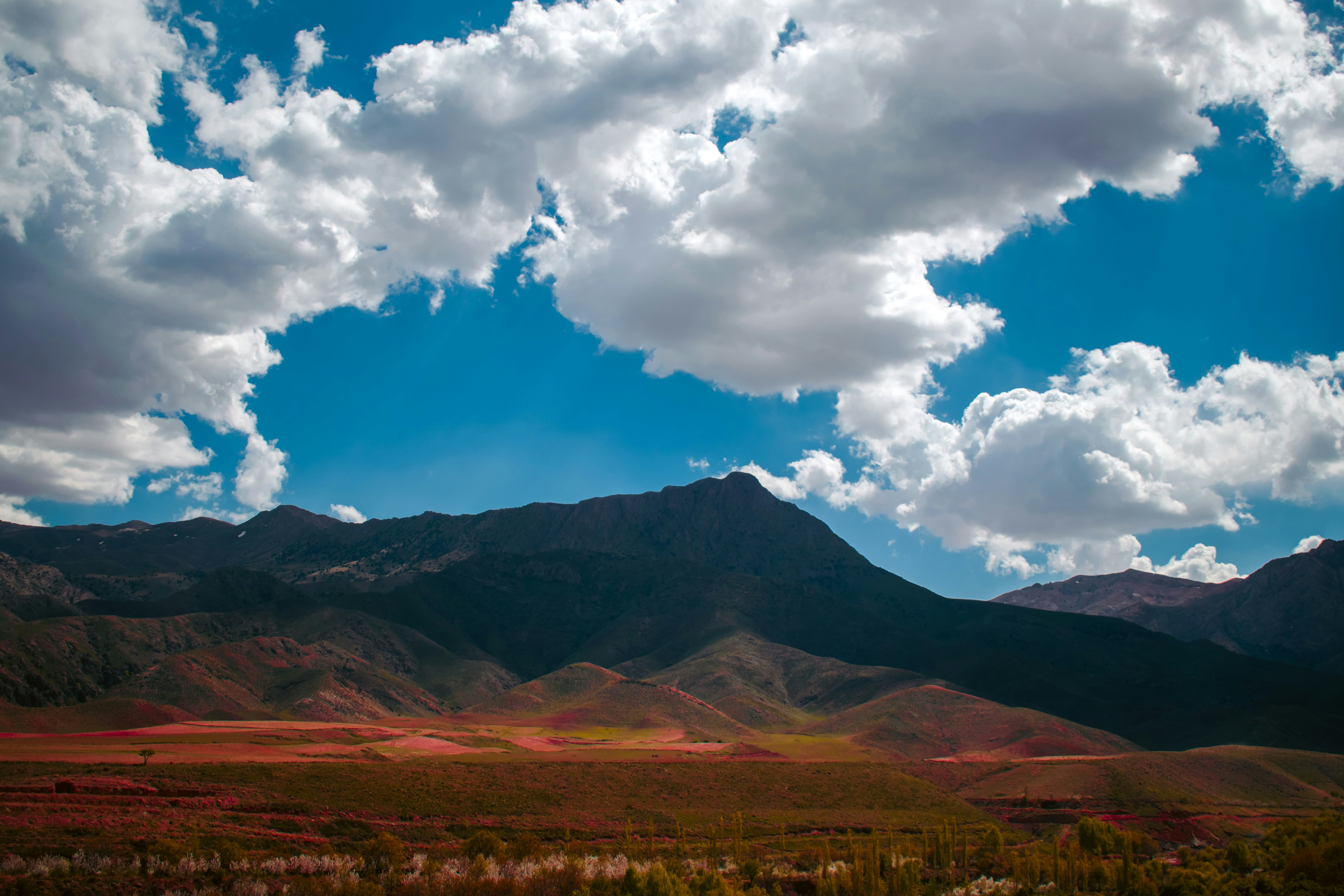 Photo by ilostmyselfout