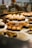 A display of assorted cupcakes arranged on a tiered stand, featuring a variety of designs with icing and toppings. The cupcakes are showcased in a bakery setting with soft, warm lighting, and a reflective glass surface in the background showing faint handwritten words.