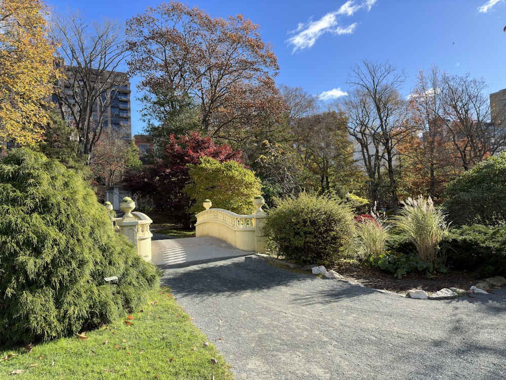 a walkway in a park surrounded by trees and bushes