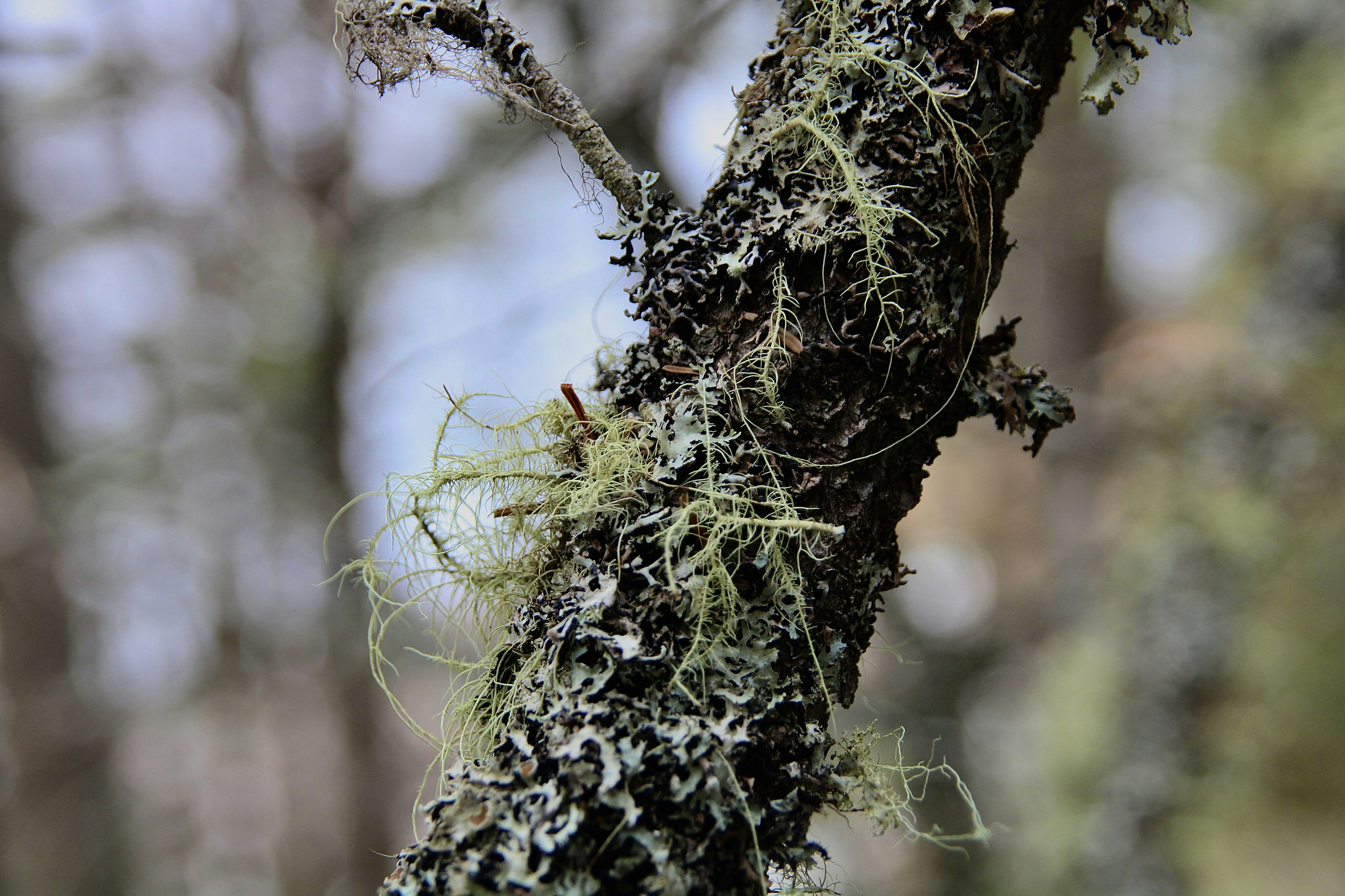 Photo by brooklynptgs