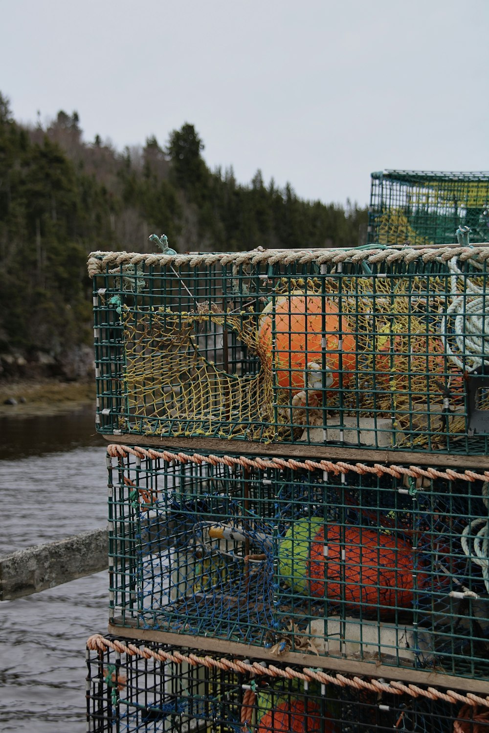 a pile of lobsters sitting on top of a wooden dock