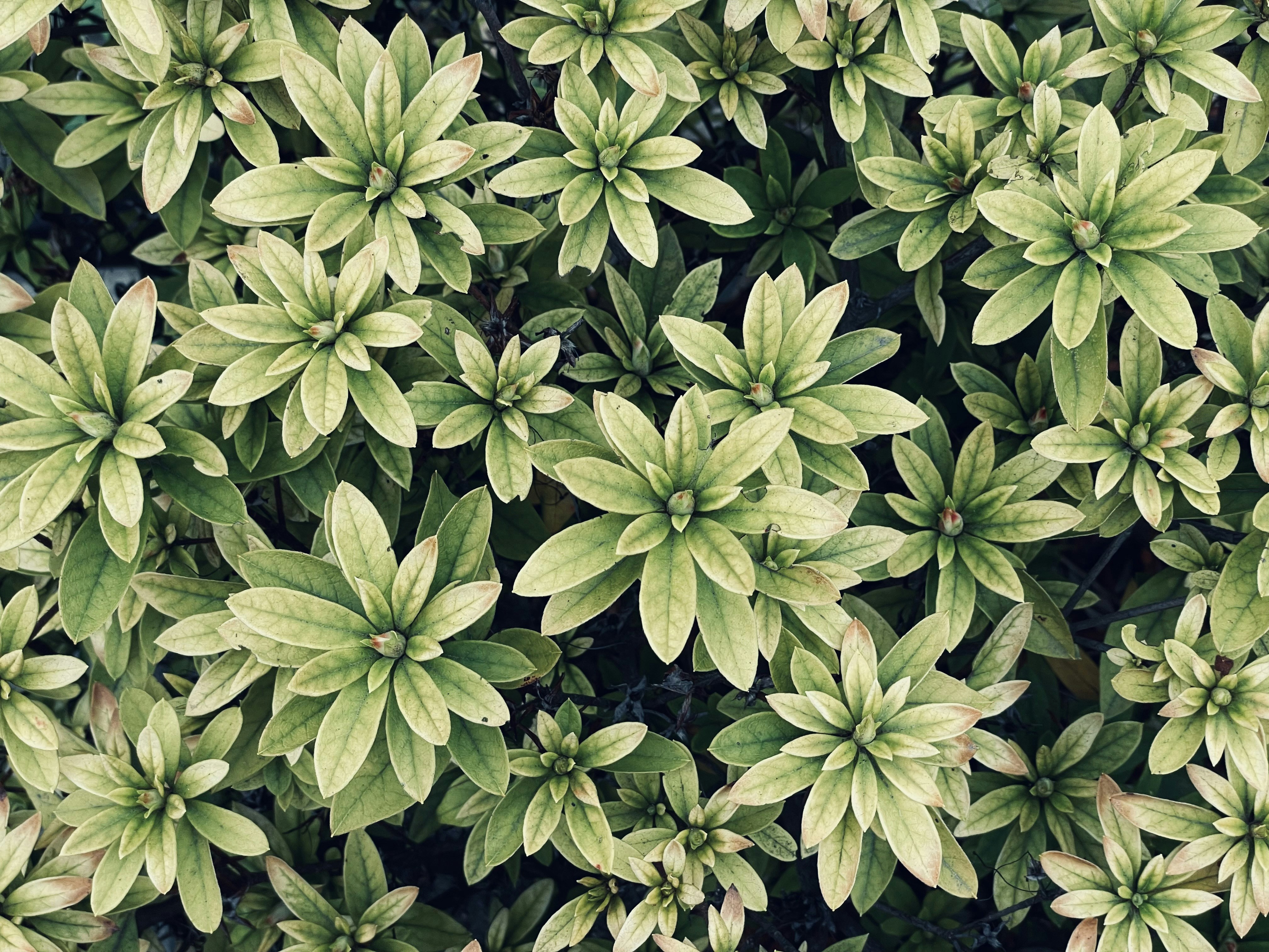 Photo by blueskywalker