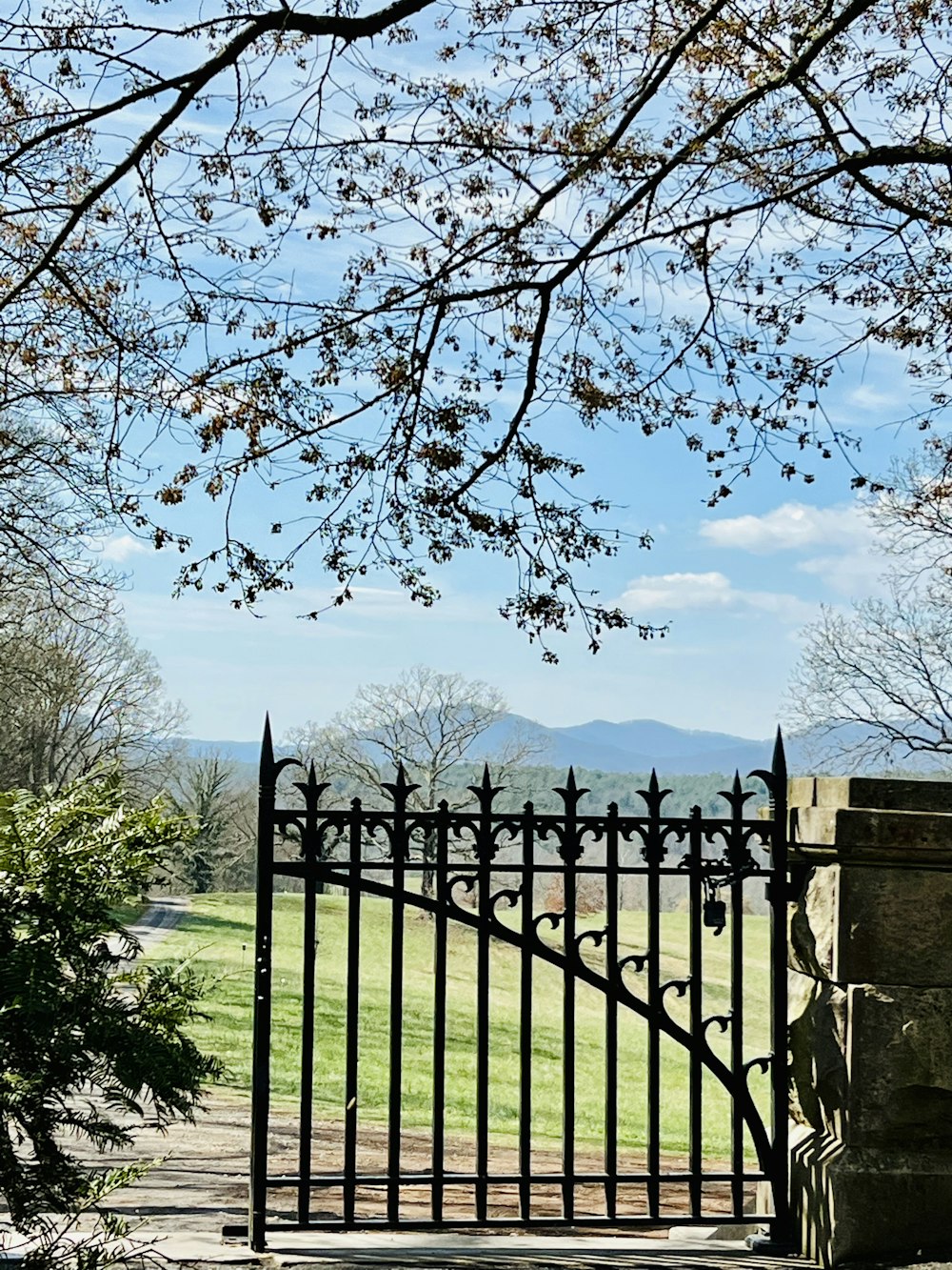 a gate with a tree in the background