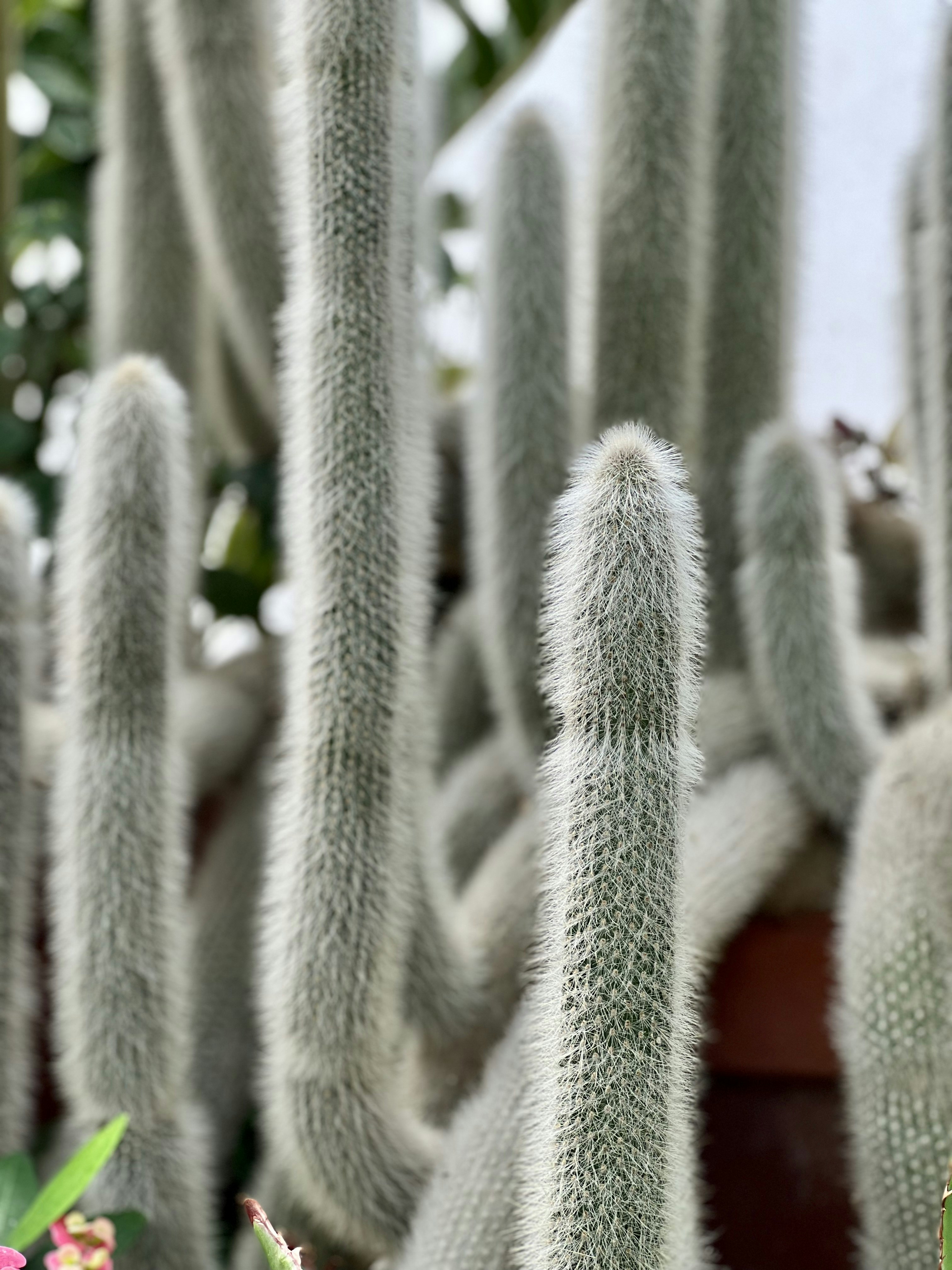 Shipping Fuzzy‑Joined Data