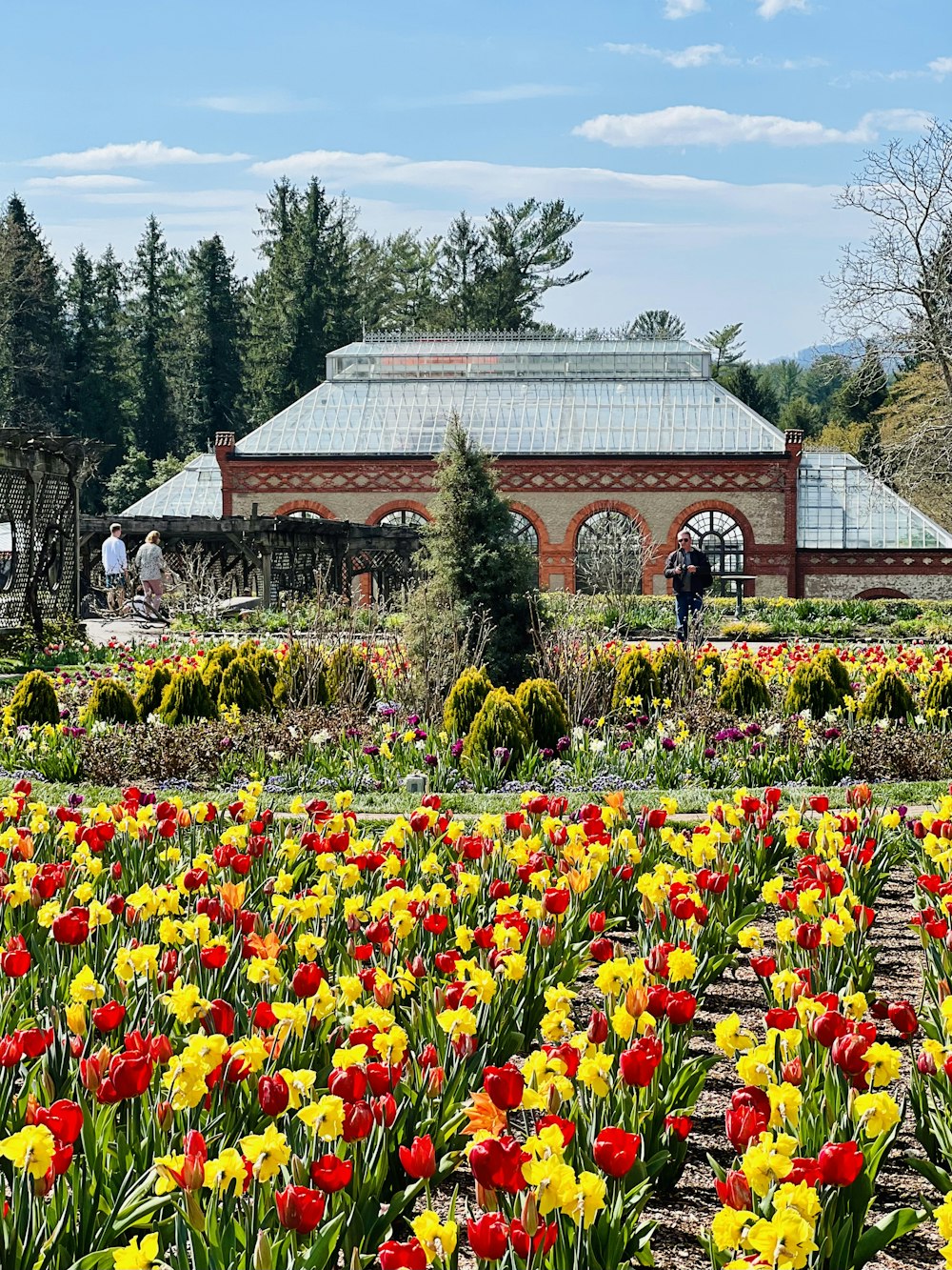 a field of flowers with a building in the background