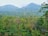 A lush, green forest landscape with dense vegetation in the foreground and rolling hills or mountains in the background. The scene is filled with various shades of green, indicating a rich and vibrant ecosystem. Tall trees and shrubs are abundant, contributing to the serene and peaceful ambiance of the environment.