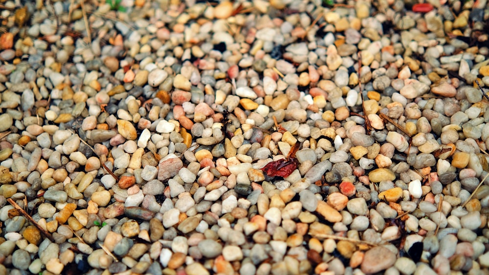 un mucchio di piccole rocce che sono sul terreno