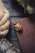 A rustic setting with a coiled rope on a dark wooden surface, a vintage metal container in the foreground, and a brown journal with a decorative gold clasp. A piece of moss-covered rock with a fern leaf creates a natural atmosphere.