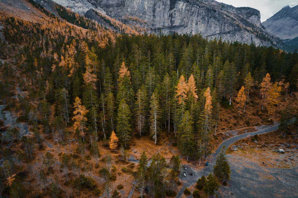 an aerial view of a road winding through a forest