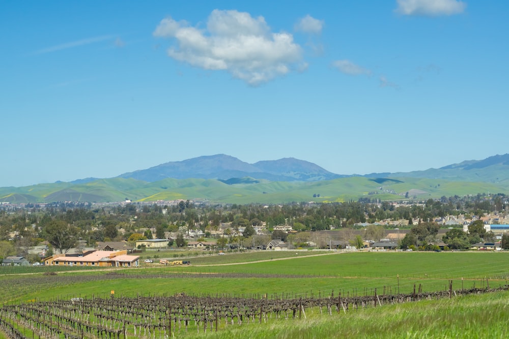 a lush green field with mountains in the background