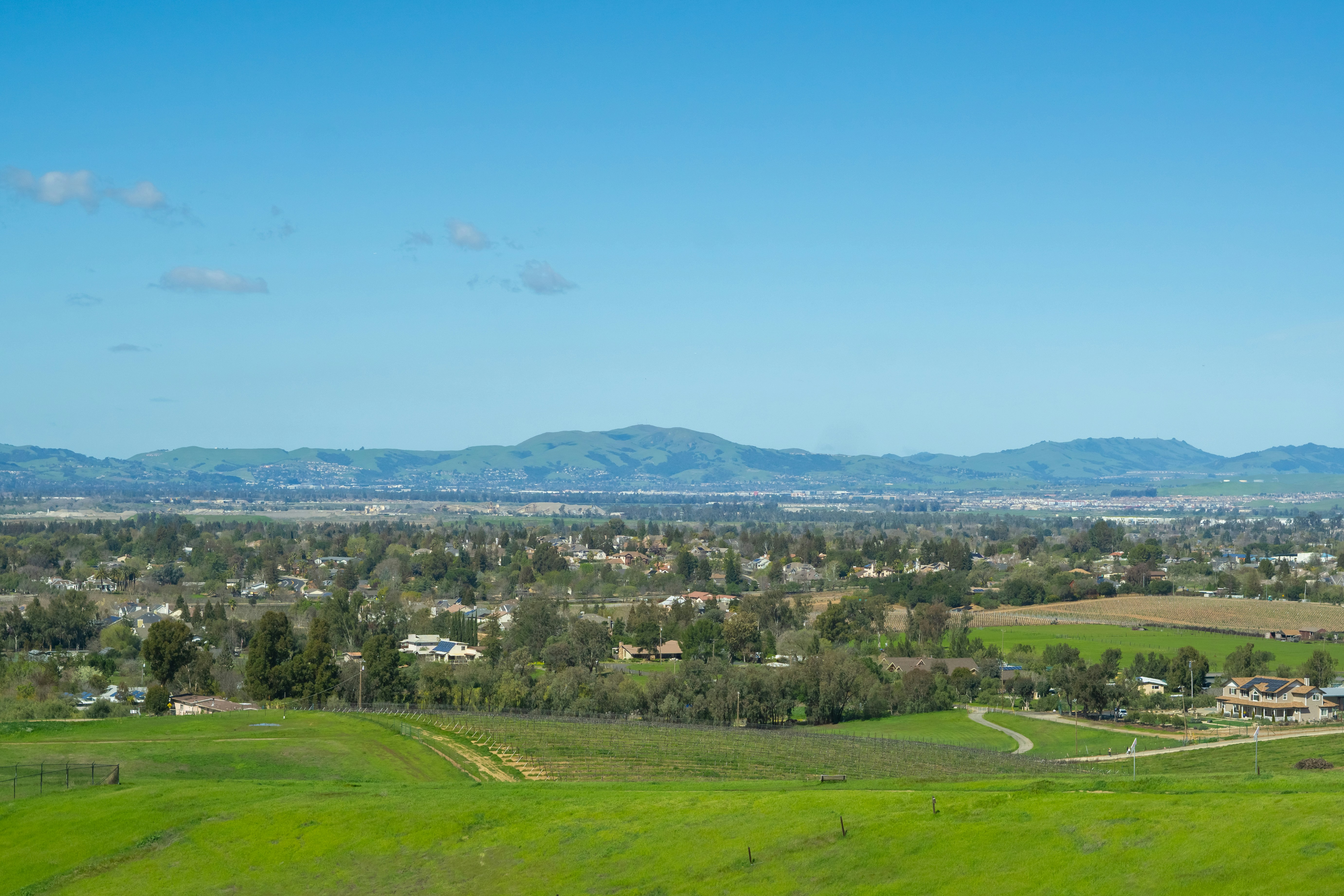 a lush green field with a small town in the distance