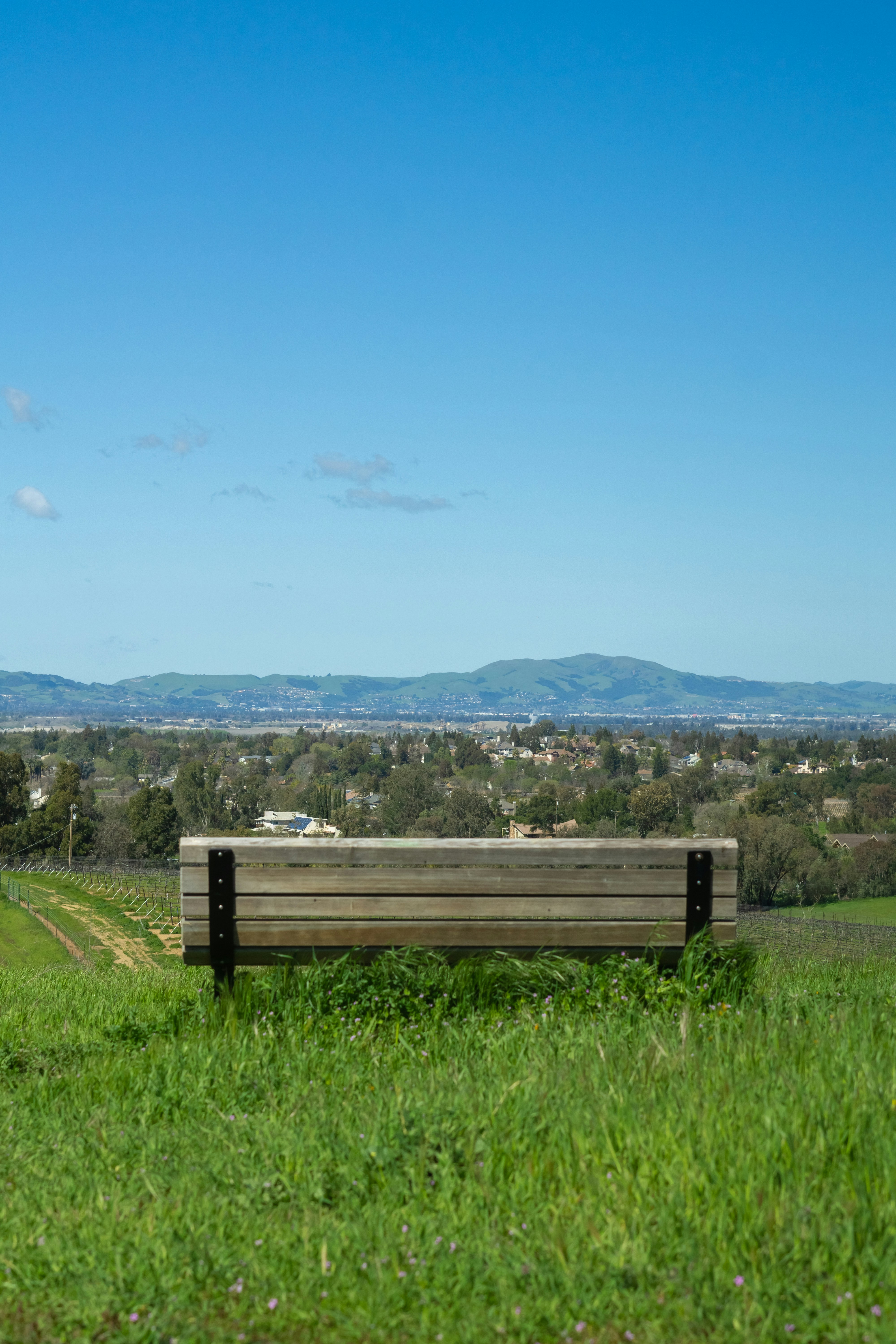 a wooden bench sitting on top of a lush green field