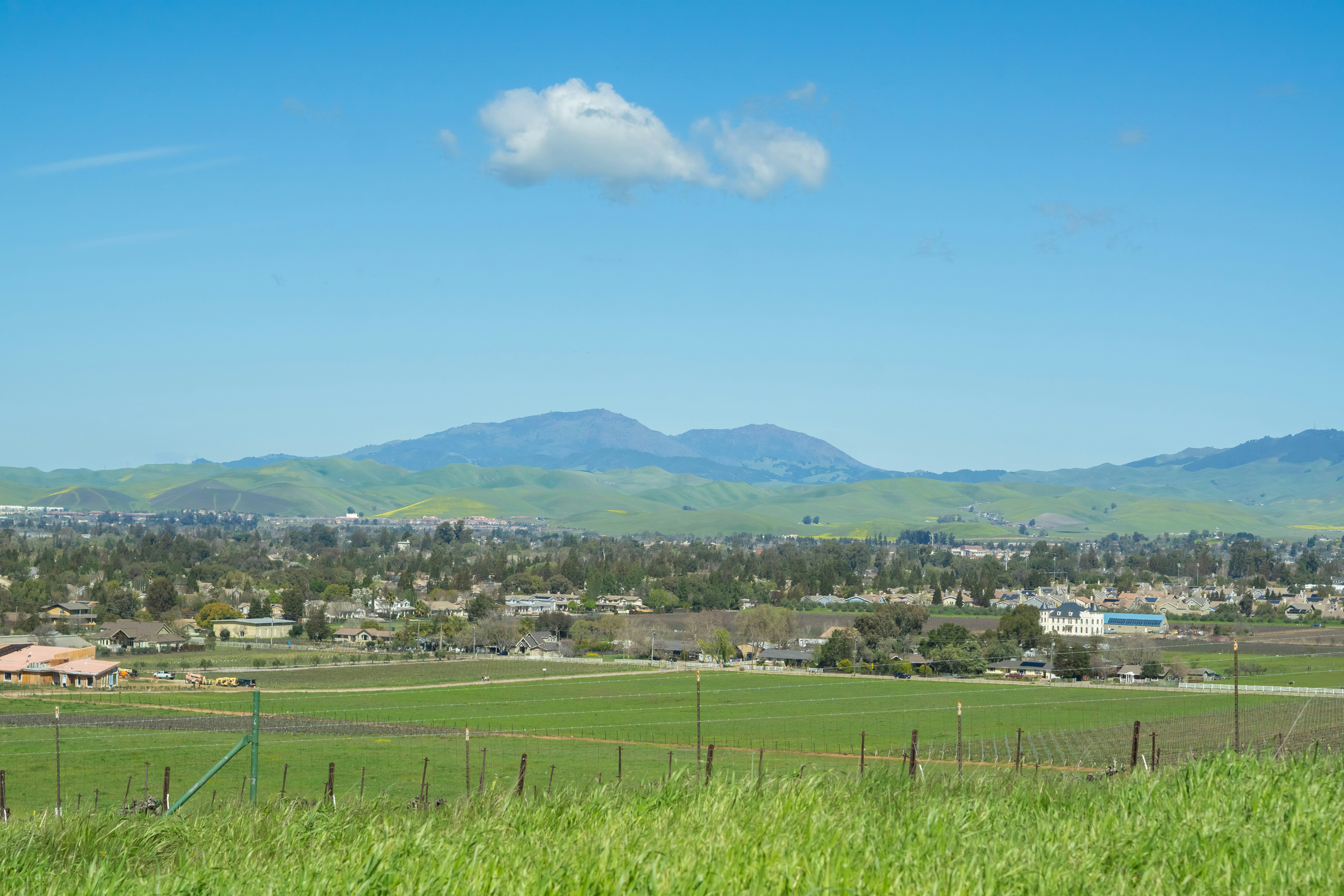 Photo by spencer_demera