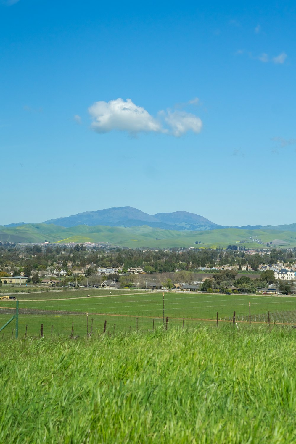 a field of grass with mountains in the background