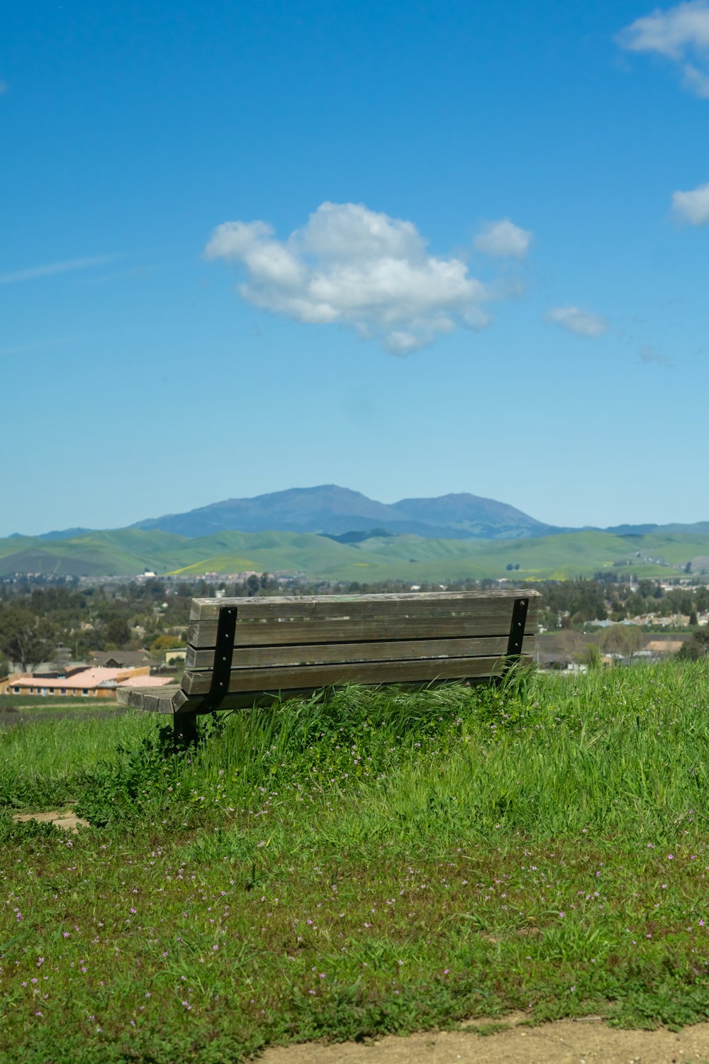 a wooden bench sitting on top of a lush green hillside