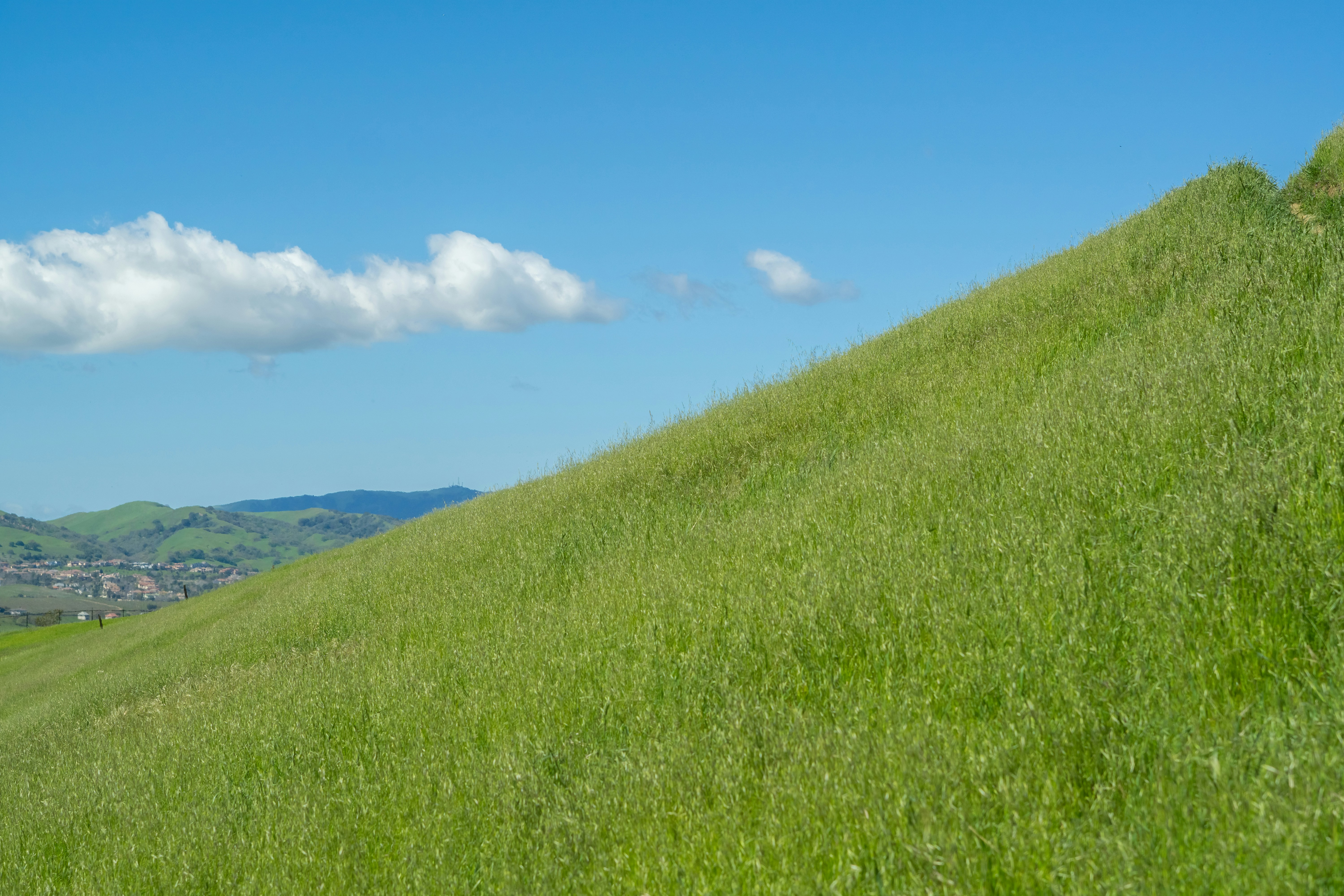 Photo by spencer_demera