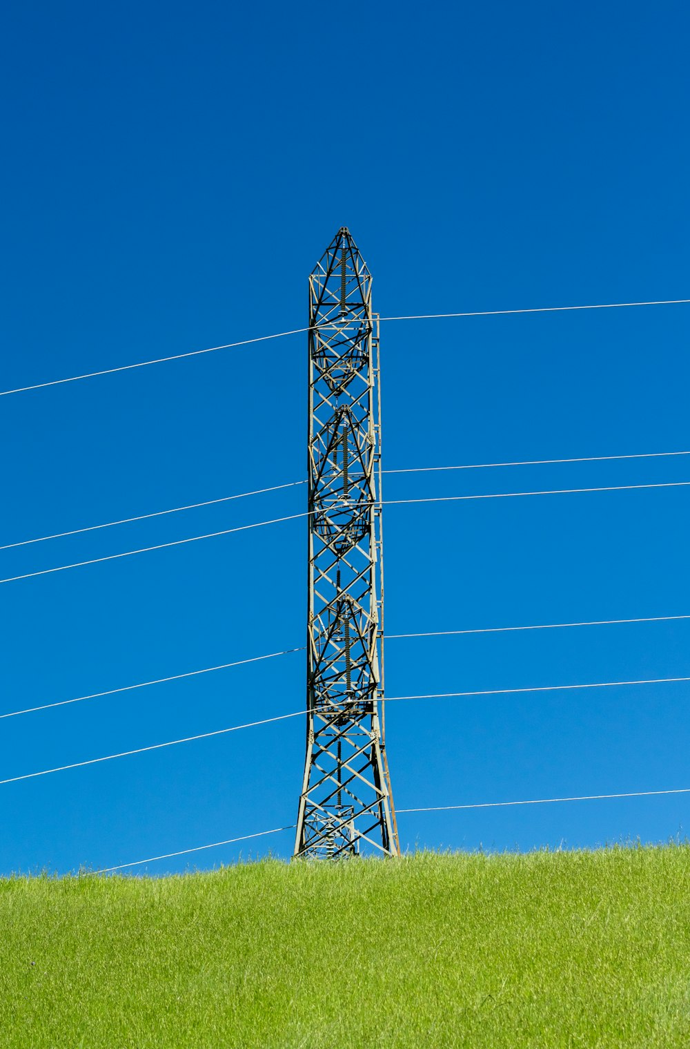 a tall metal structure sitting on top of a lush green field