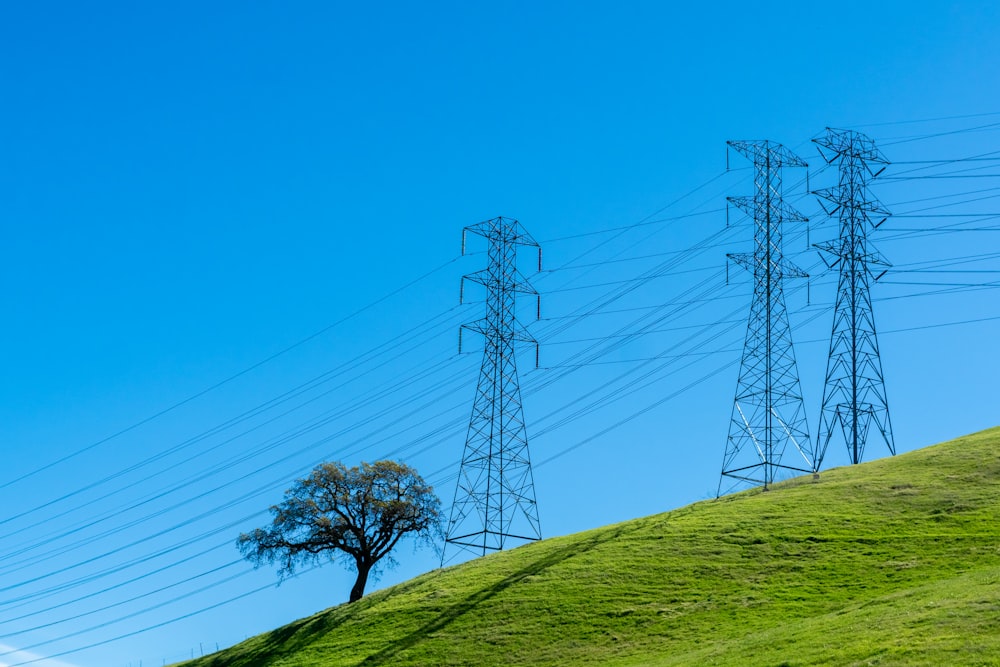 a green hillside with power lines and a single tree