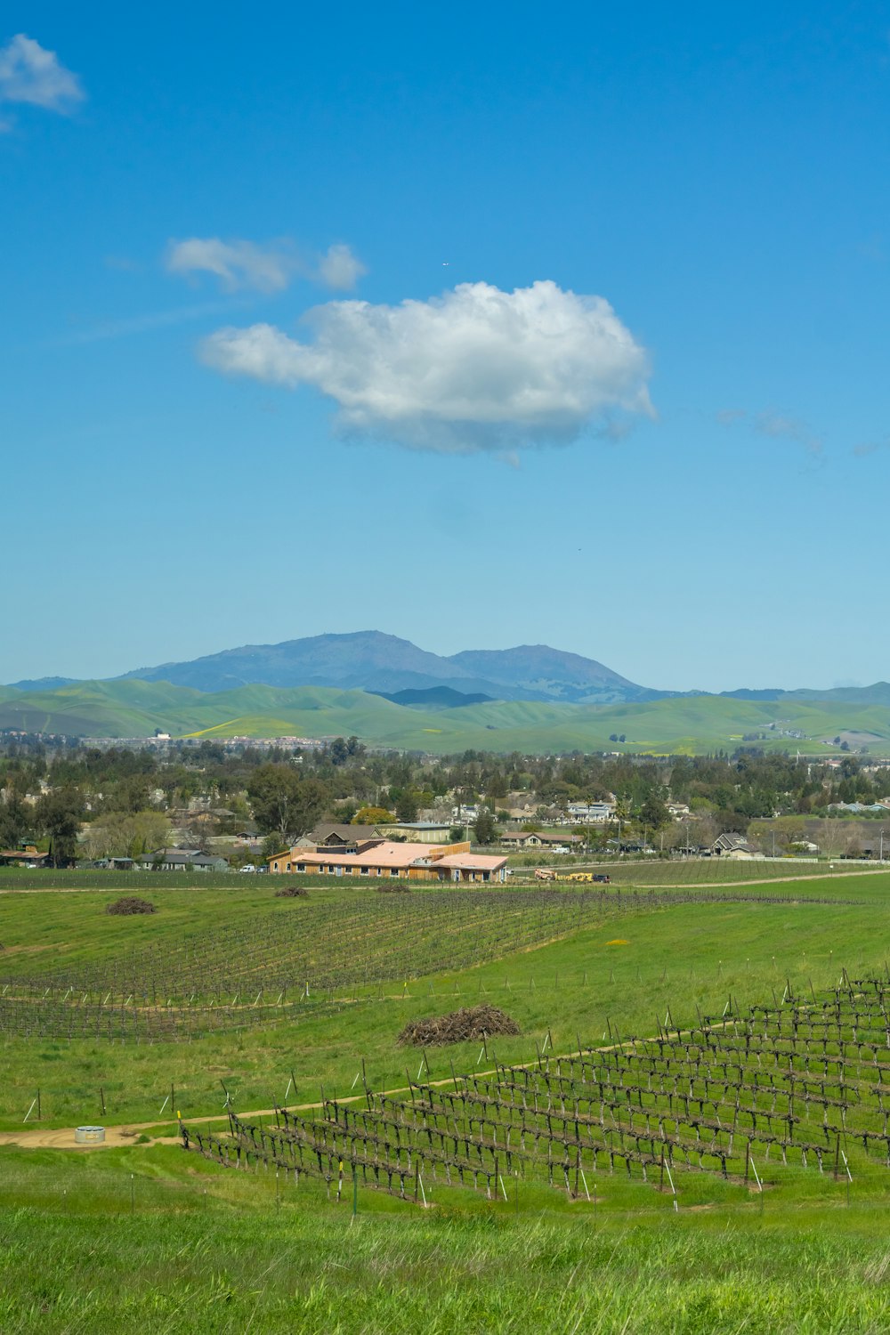 a green field with mountains in the distance