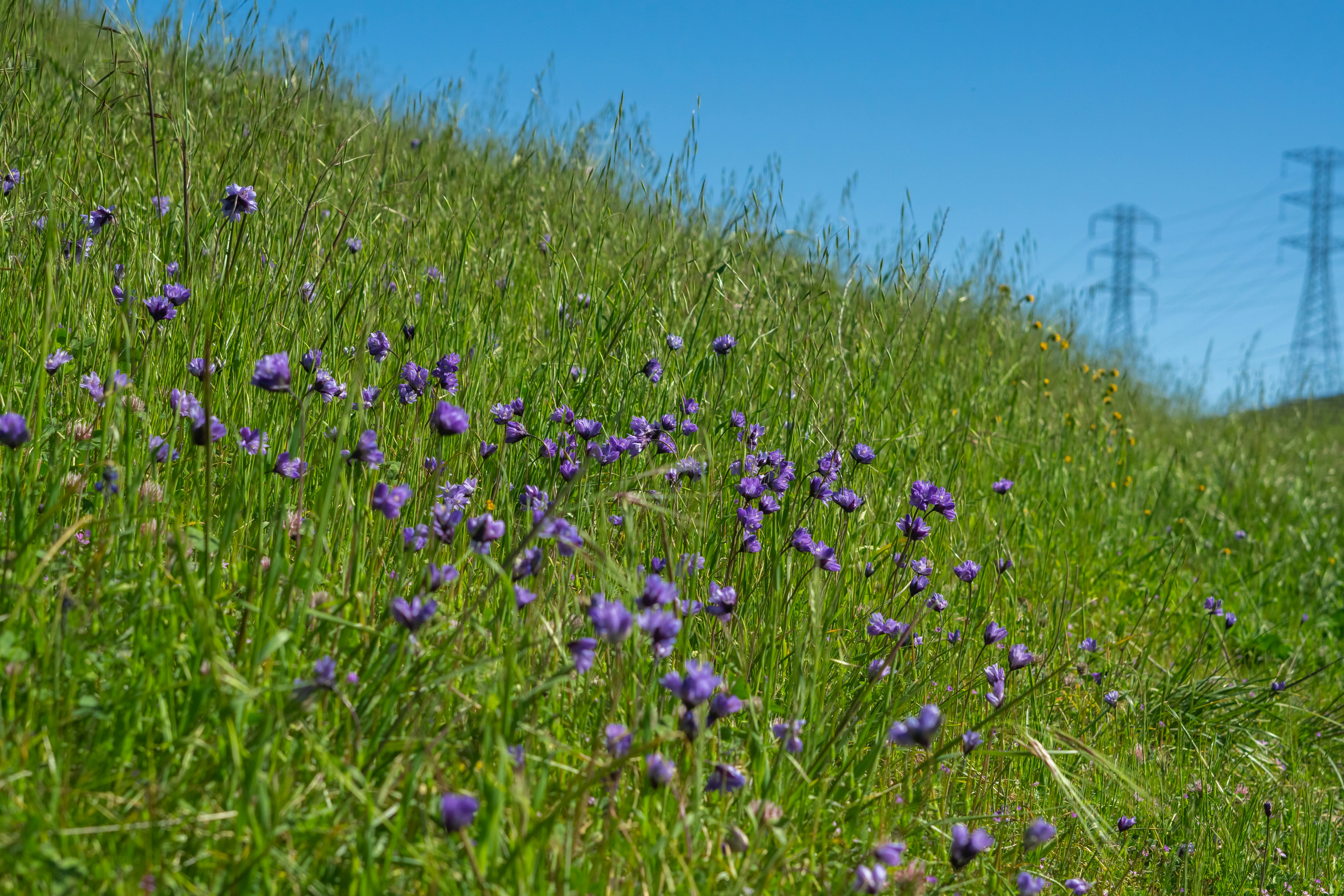 Photo by spencer_demera