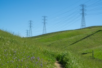 Tall electricity pylons tower over a landscape of rolling green hills. A dirt path winds through lush grass dotted with purple wildflowers under a bright blue sky.