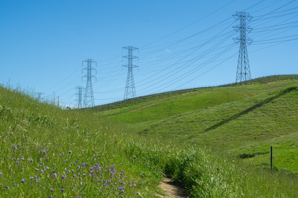 Tall electricity pylons tower over a landscape of rolling green hills. A dirt path winds through lush grass dotted with purple wildflowers under a bright blue sky.