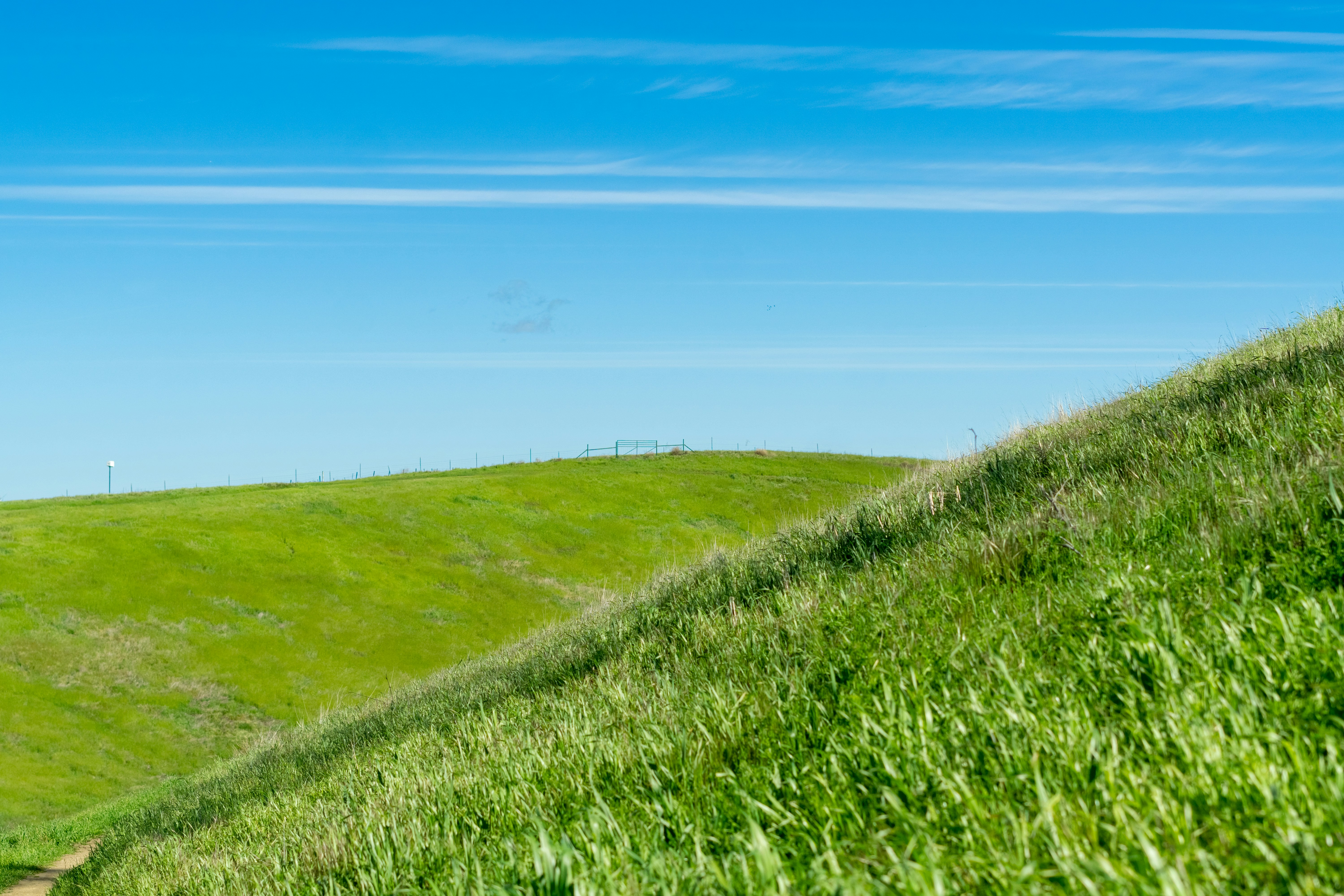 Photo by spencer_demera