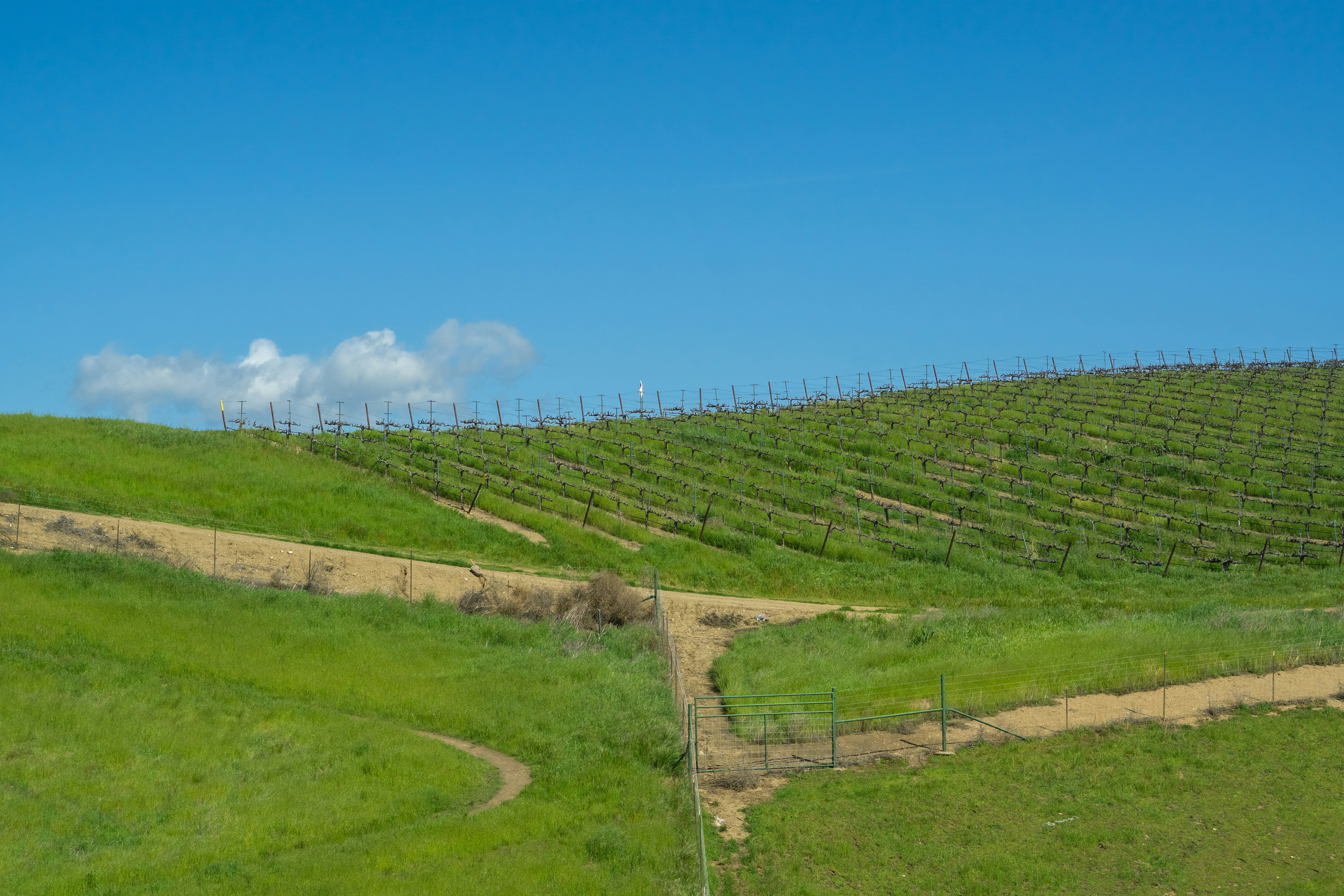 Farm First: The Quiet Sourcing Obsession Behind SF's Best French-Inspired Menus