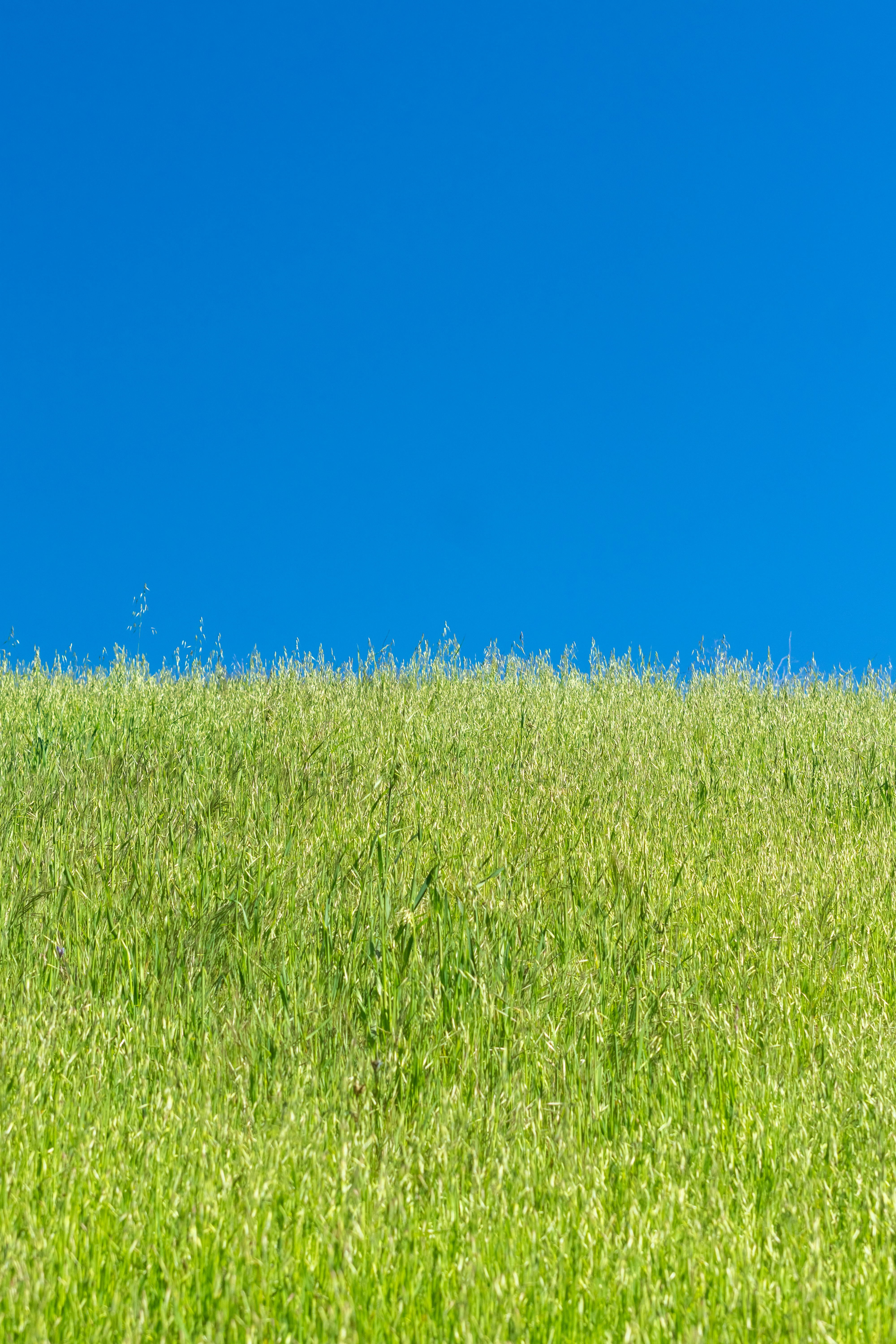 Photo by spencer_demera