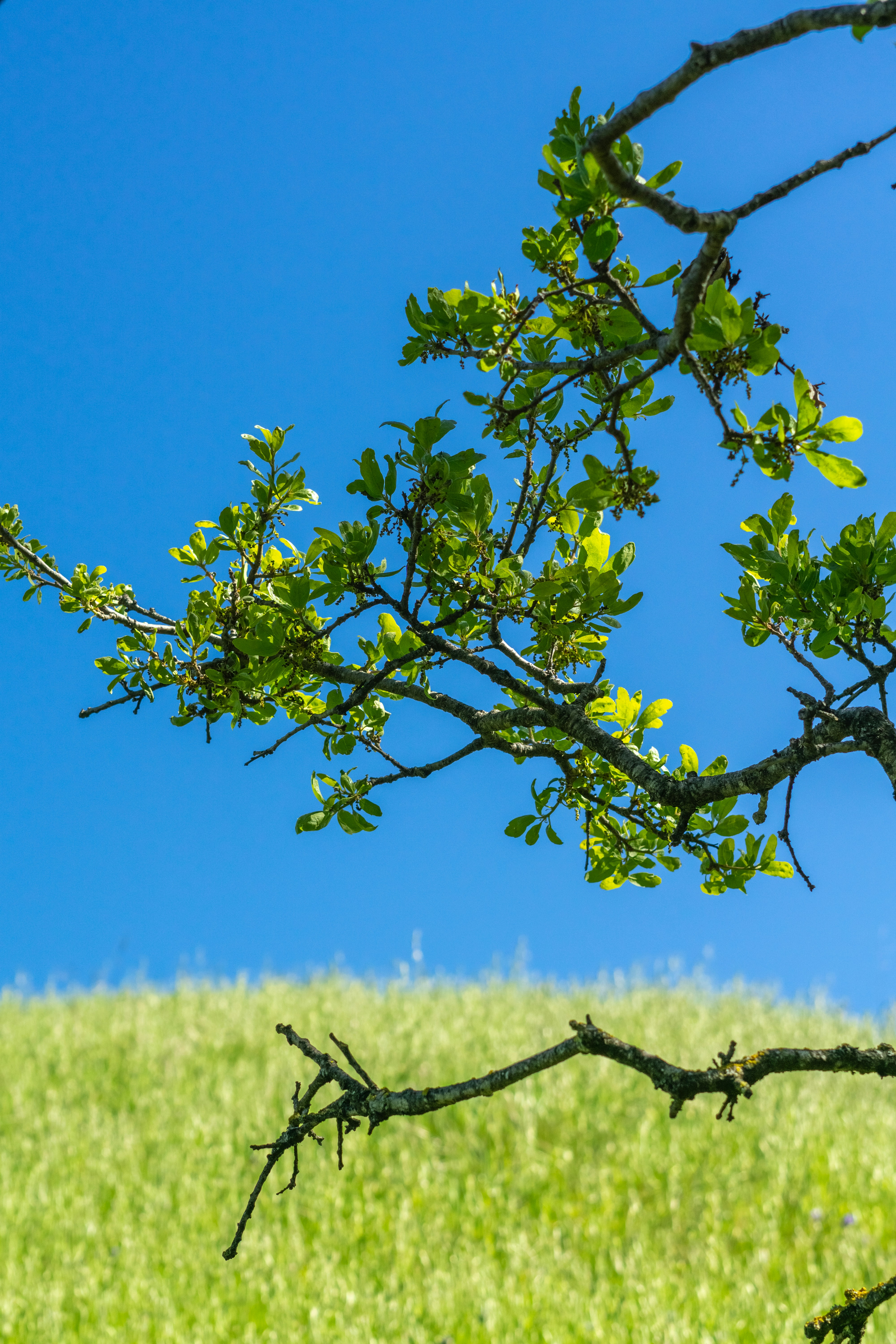 Photo by spencer_demera