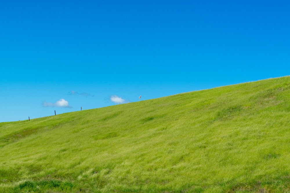 a grassy hill with a fence in the distance