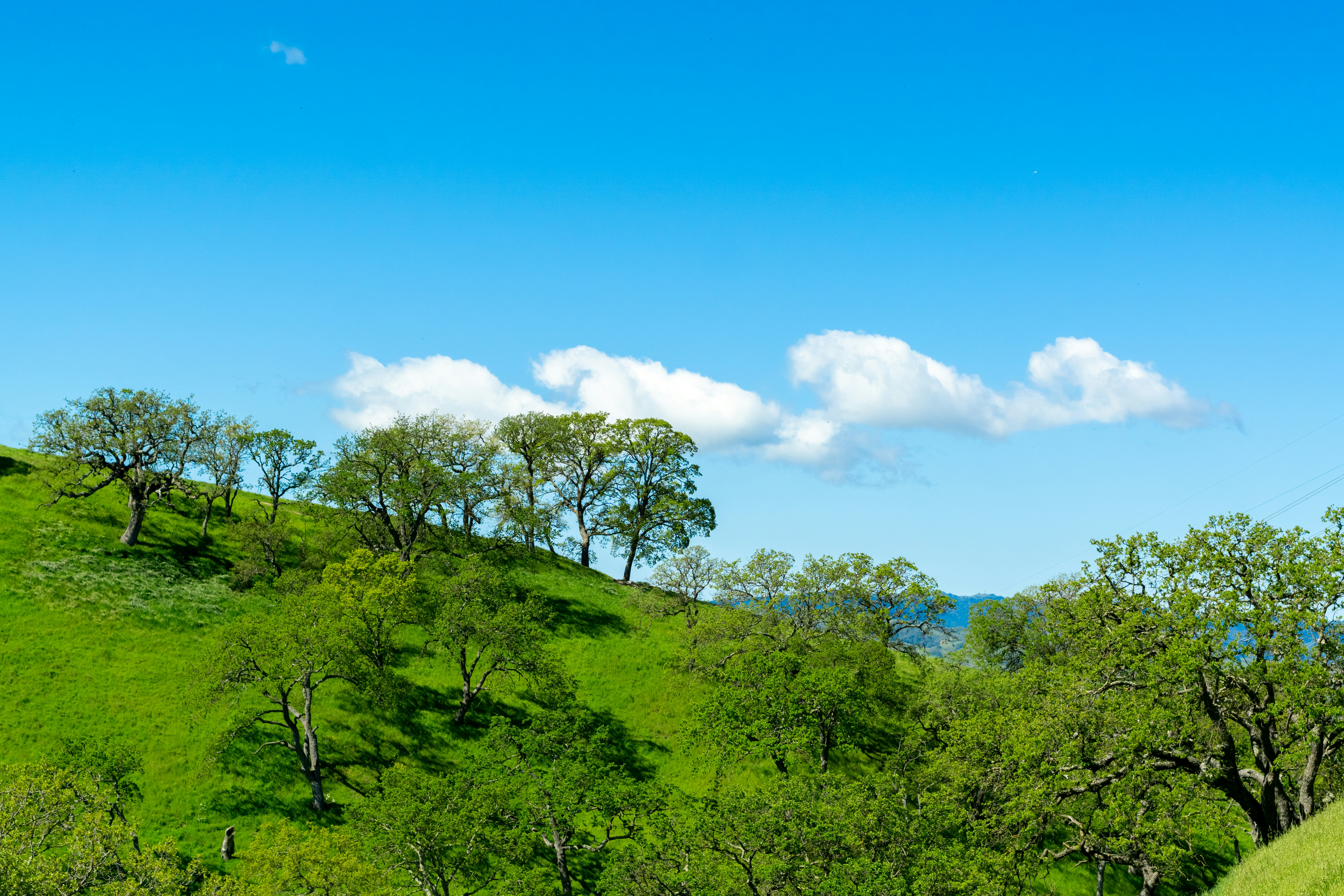 Photo by spencer_demera