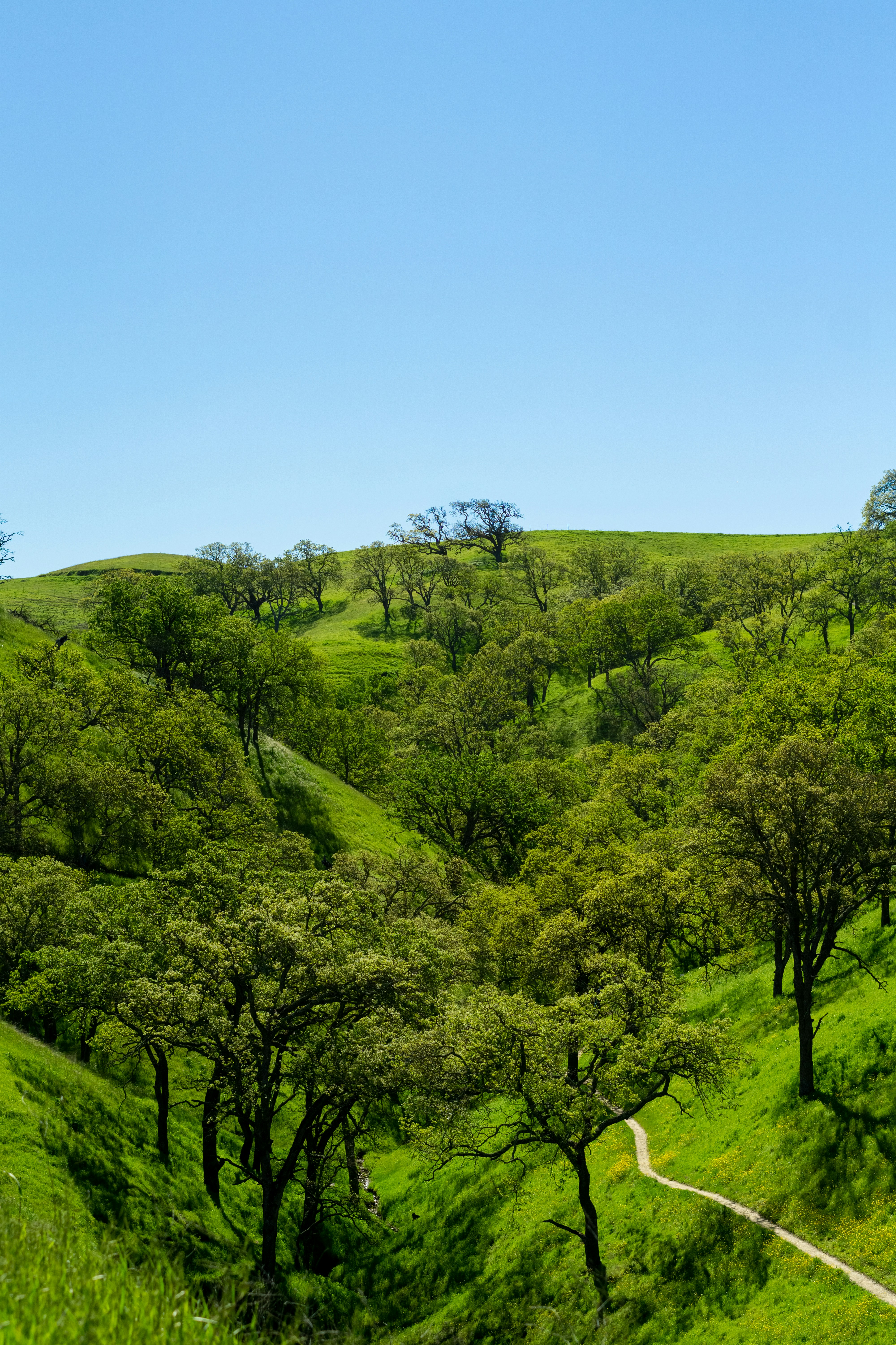 Photo by spencer_demera