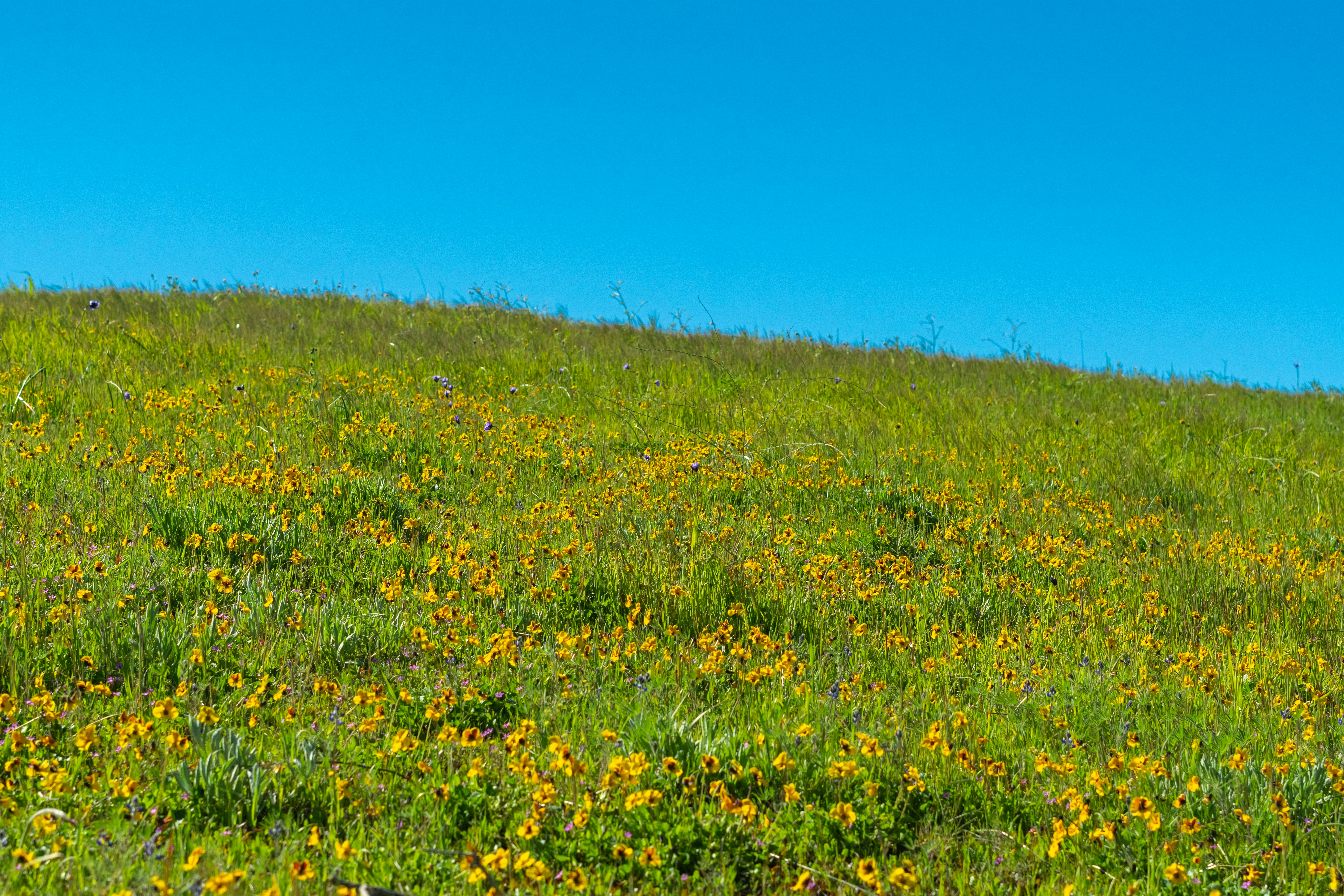 Photo by spencer_demera