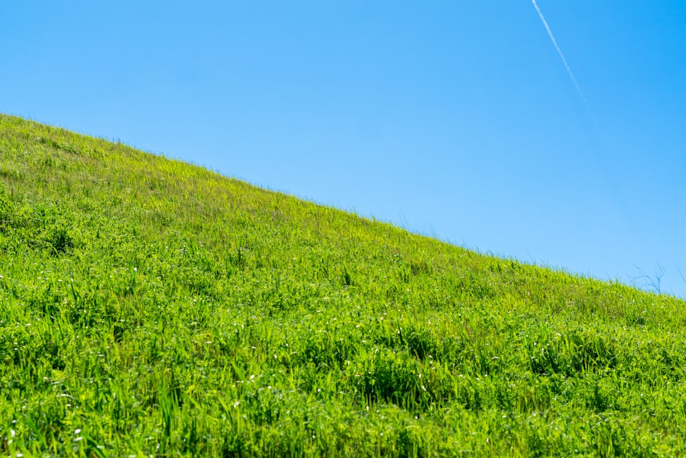 a grassy hill with a kite flying in the sky