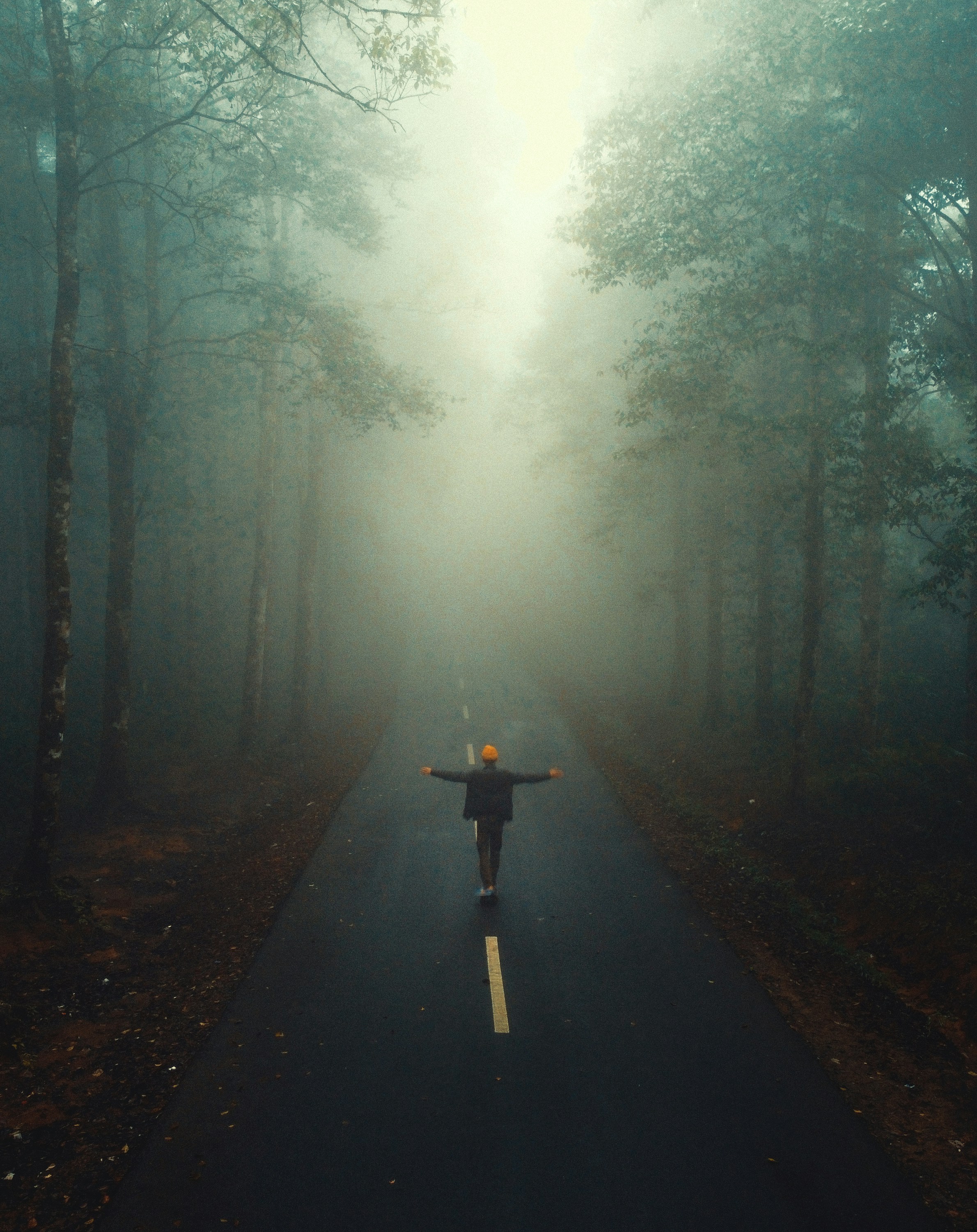 Photo by sendi_r_gibran