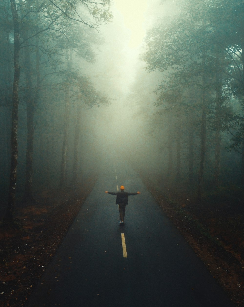 a person standing on a road in the middle of a forest