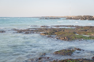 Rocky shoreline with patches of green moss scattered along the rocks. The sea is calm, with gently lapping waves under a clear sky. A distant landmass with a tall structure, possibly a radio tower, can be seen on the horizon.