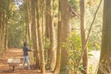 Volunteers planting trees in a sunlit clearing.
