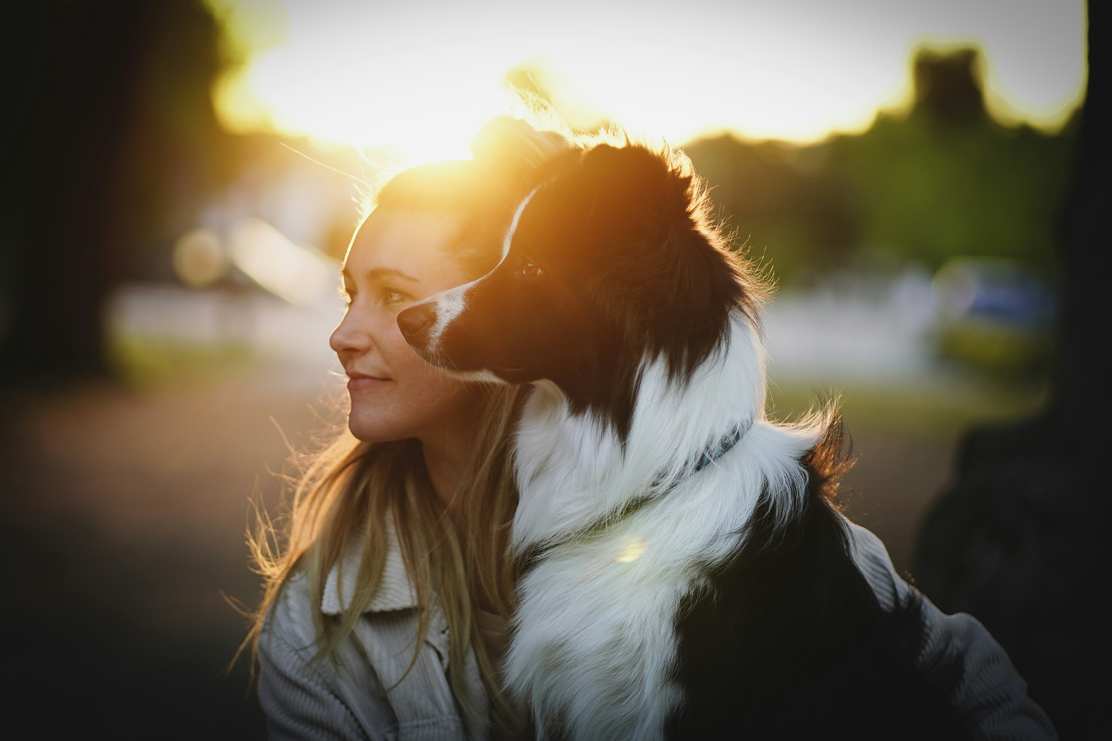 Photo by tinorischawy