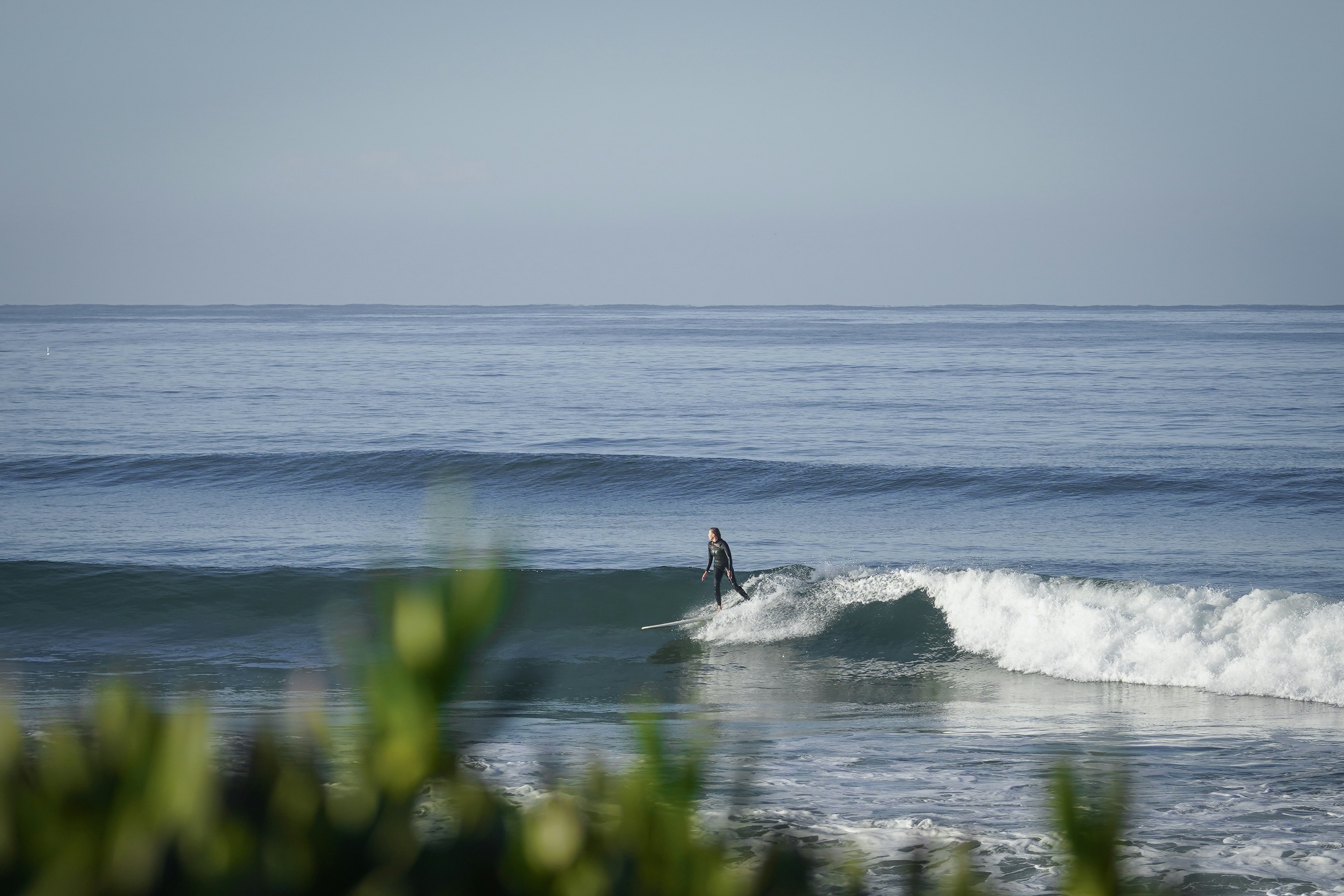 Photo by tinorischawy