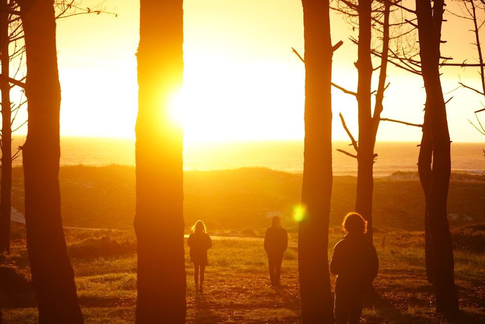 a group of people walking through a forest at sunset