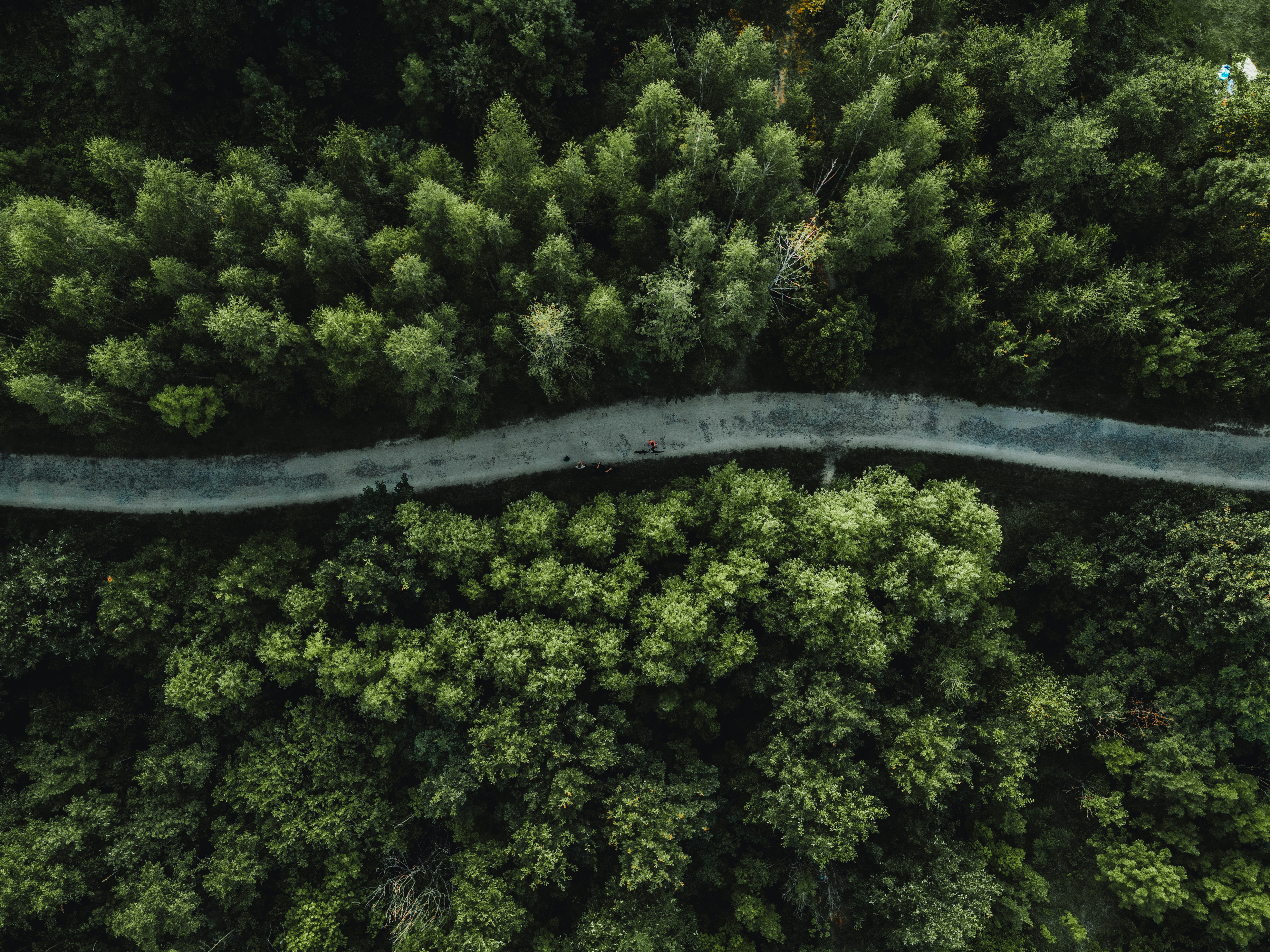 Photo by tinorischawy