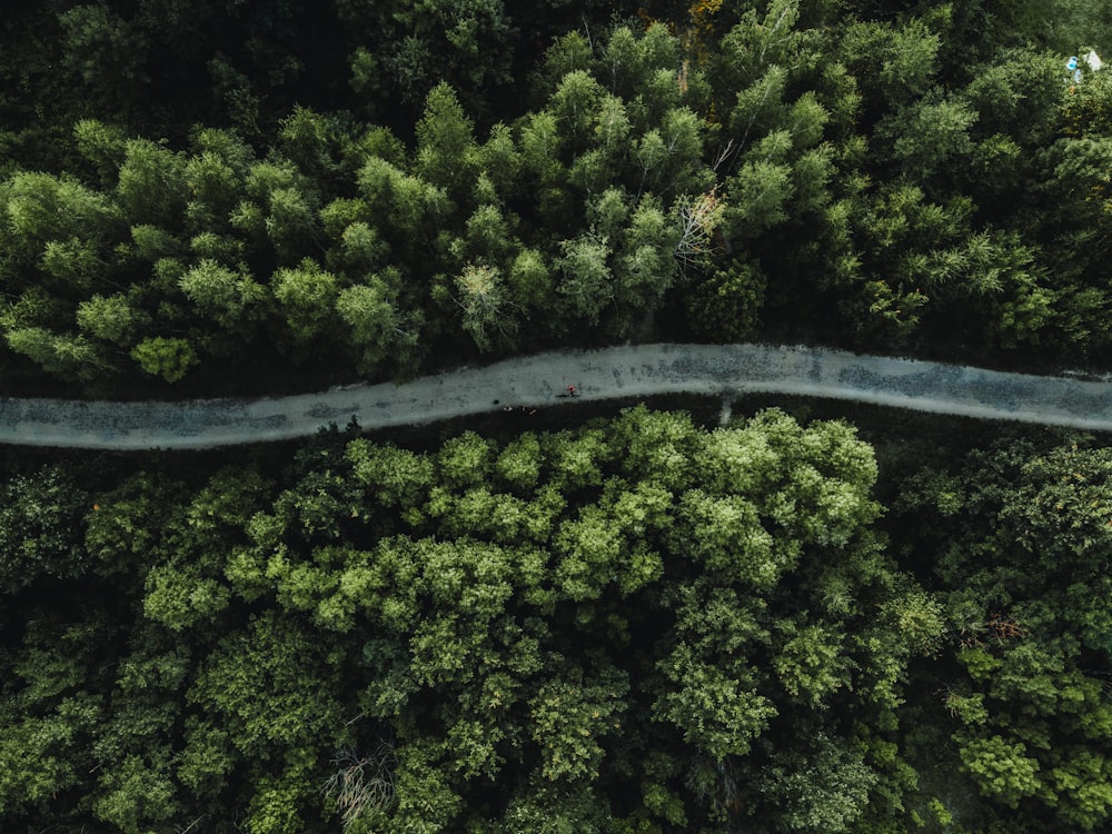 an aerial view of a road in the middle of a forest