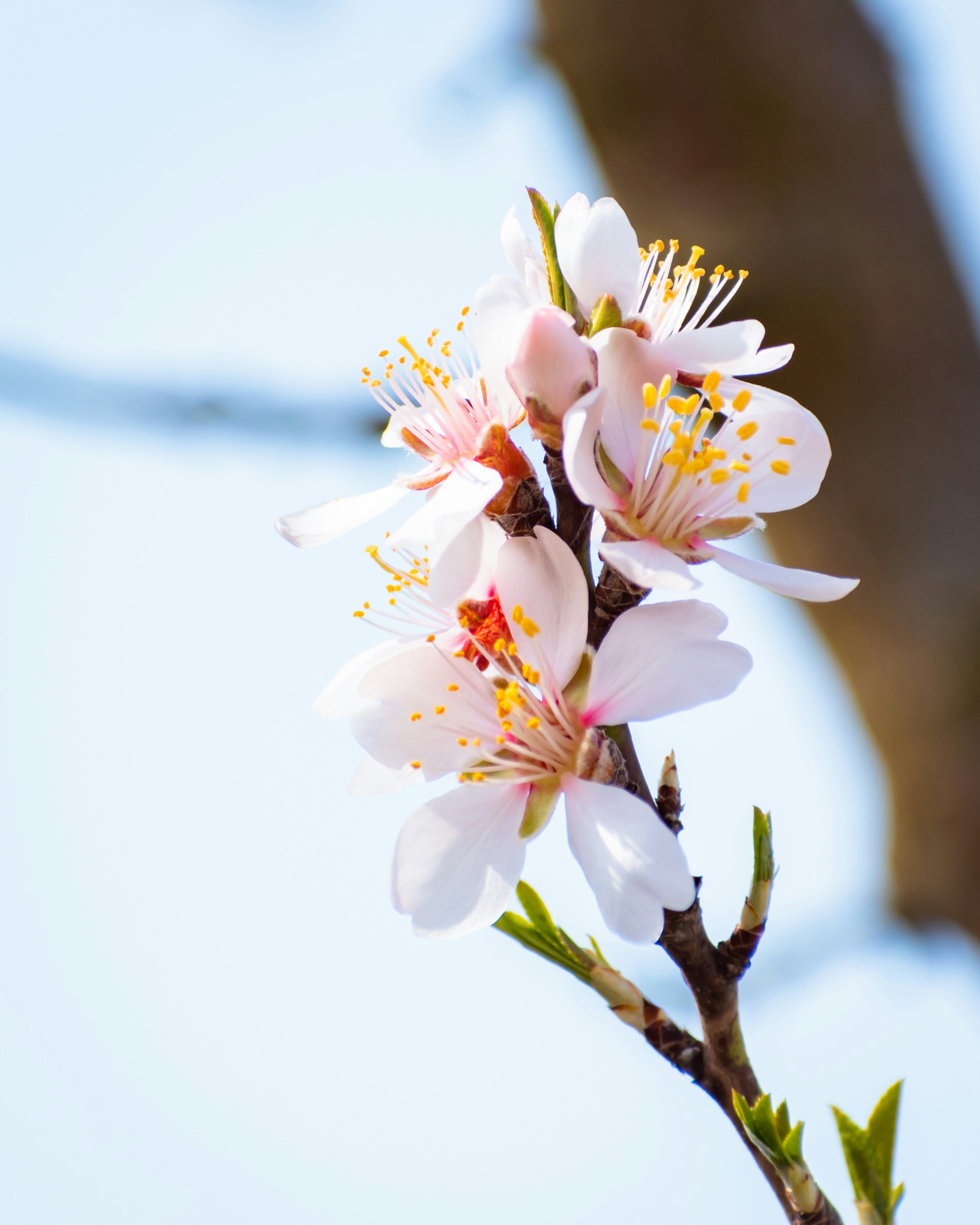 Photo by niki_emmert