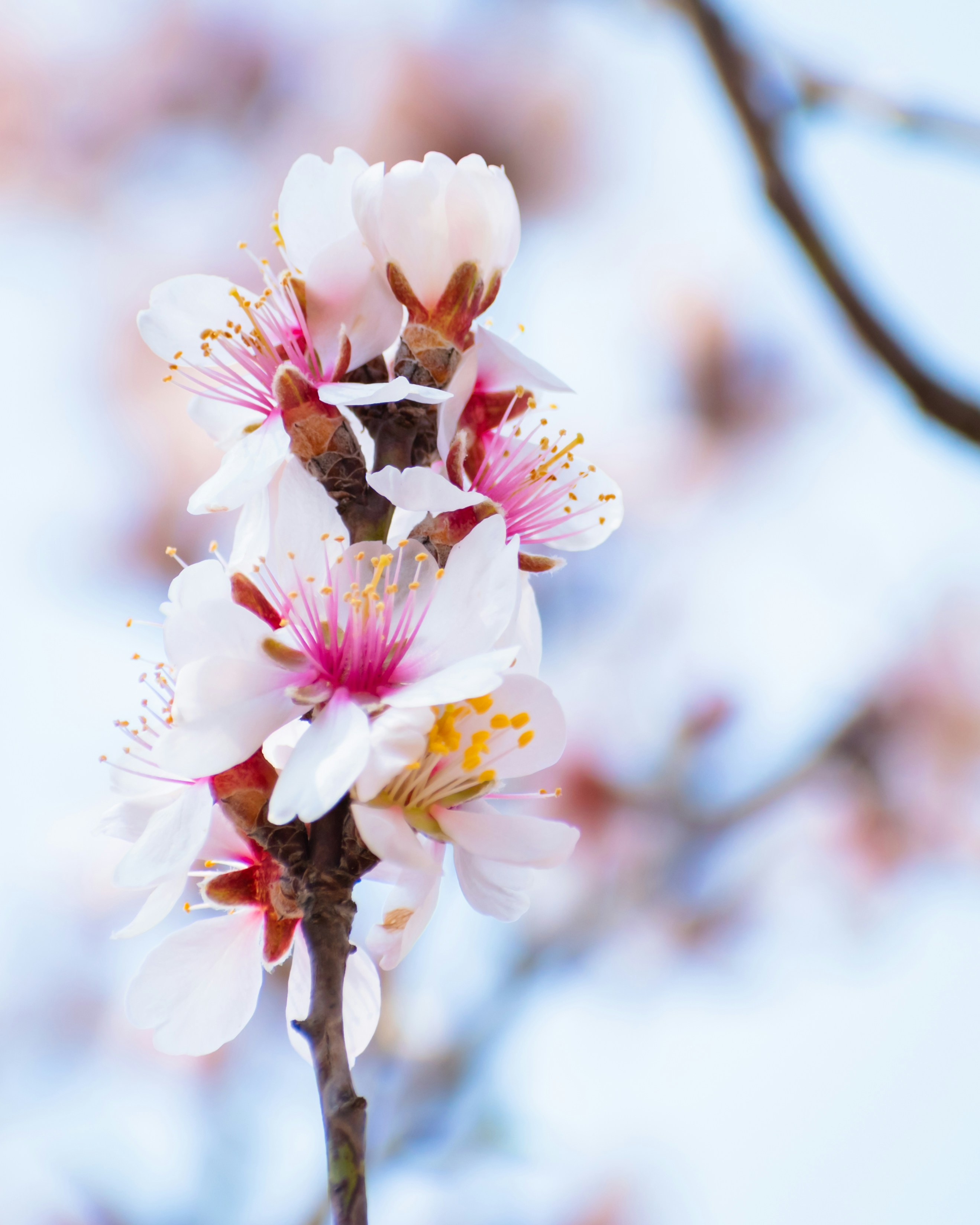 Photo by niki_emmert