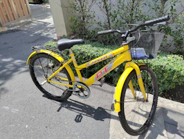 A stylish bicycle parked beside a sunny garden path, ready for a ride.